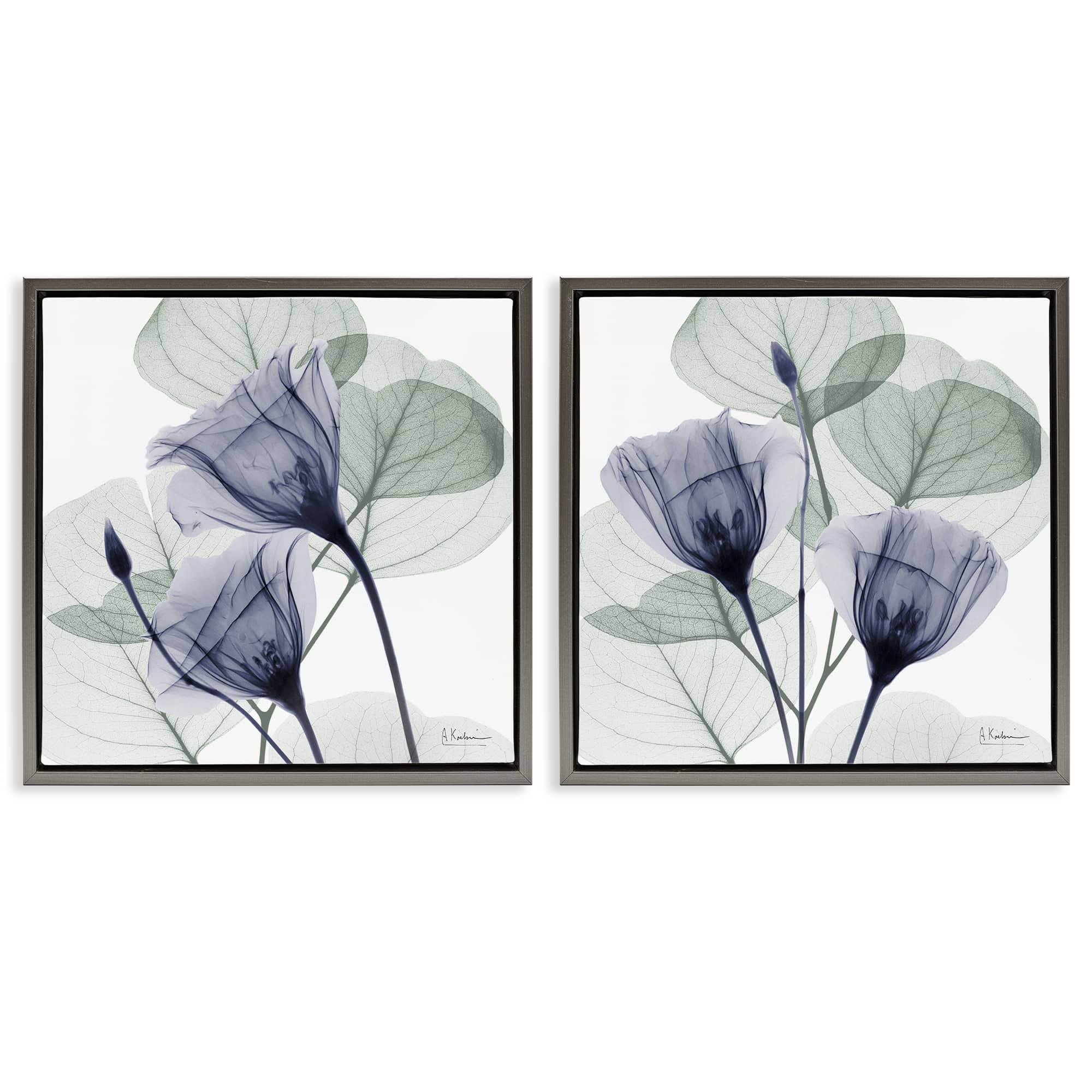 Stupell Industries B2-710-FFL-2PC-17X17 Fading Florals and Herbs 2 Piece Gray Framed Floater Canvas Set By Albert Koetsier 18 x 18