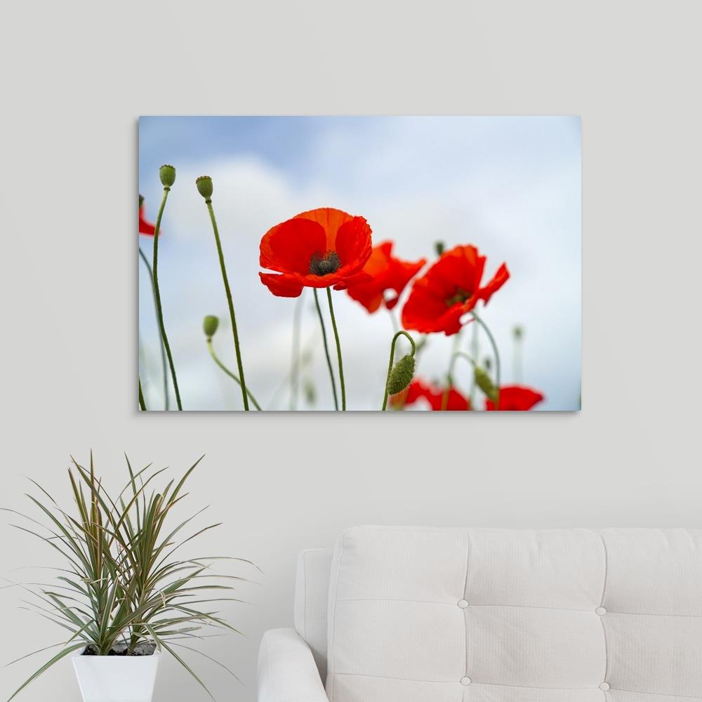 GreatBigCanvas 2532391-24-30X20 Wall-Art - View #2