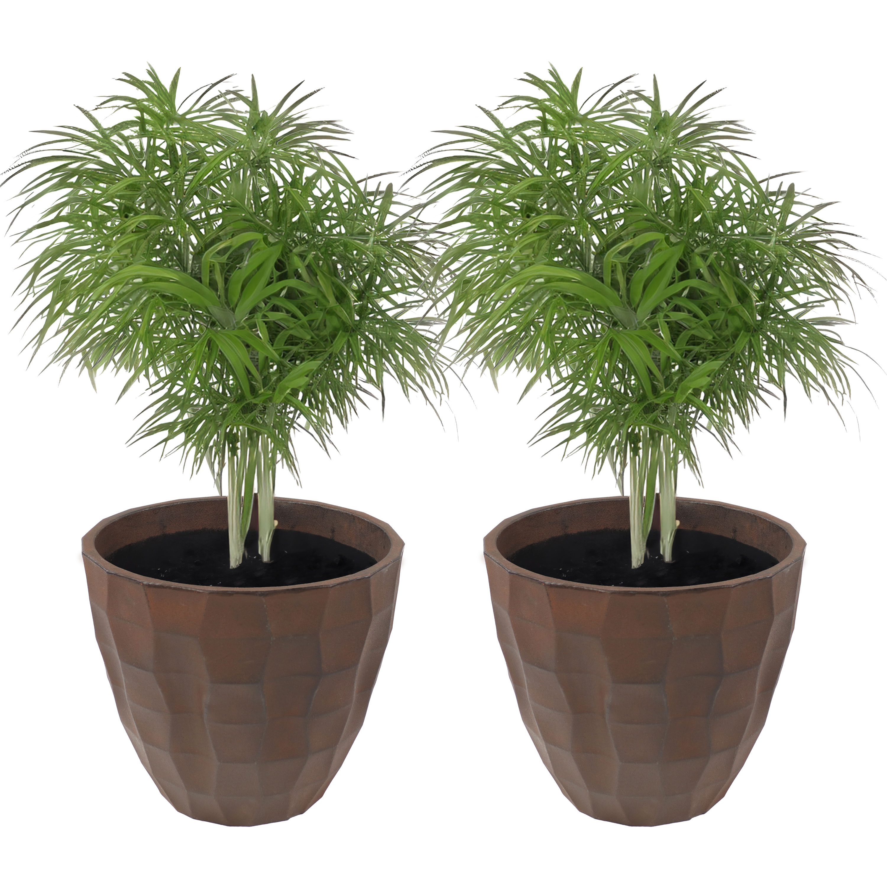 Sunnydaze Decor DG-946-2PK Planter-Window-Box - View #5
