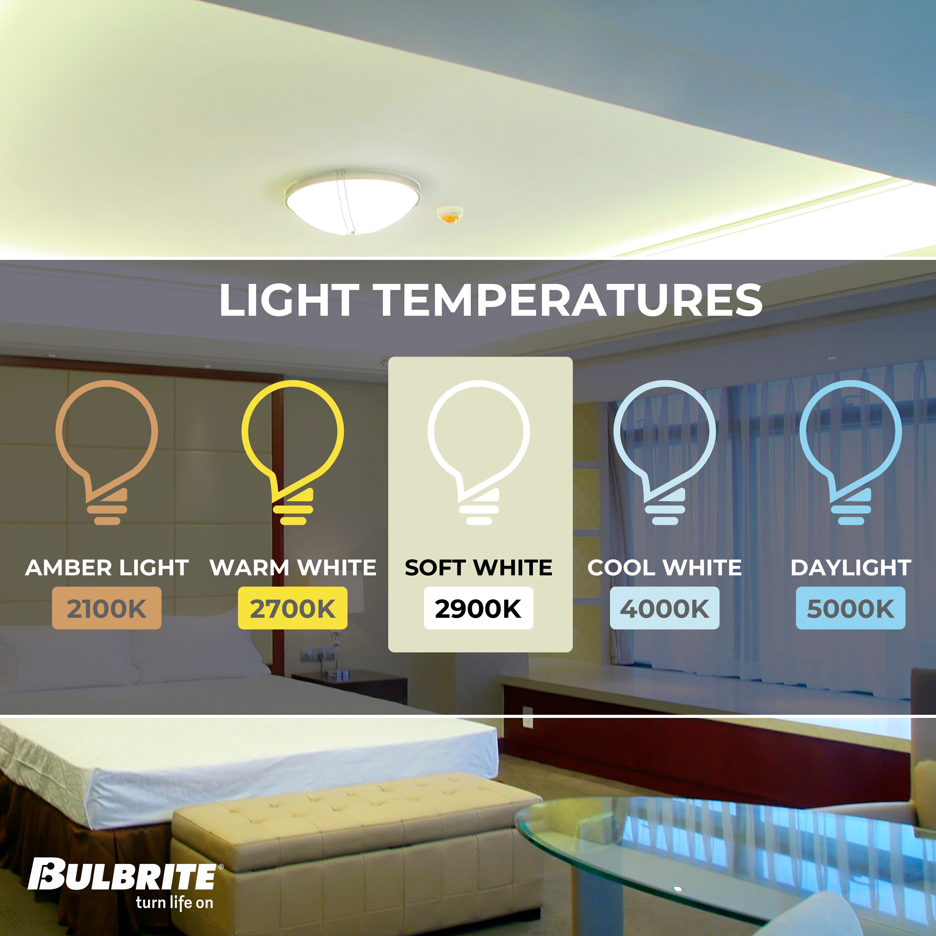 Bulbrite 860834 Specialty-Light-Bulbs - View #3