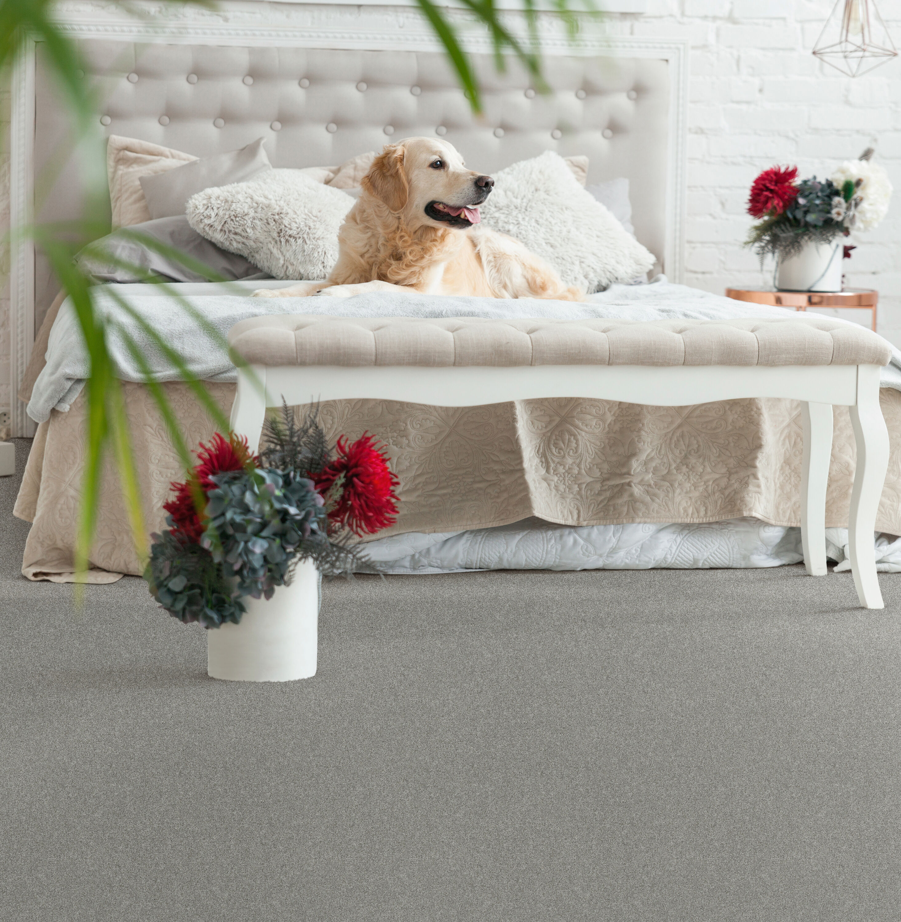 STAINMASTER 7L908 - 307 - SAMP Carpet-Samples - View #4