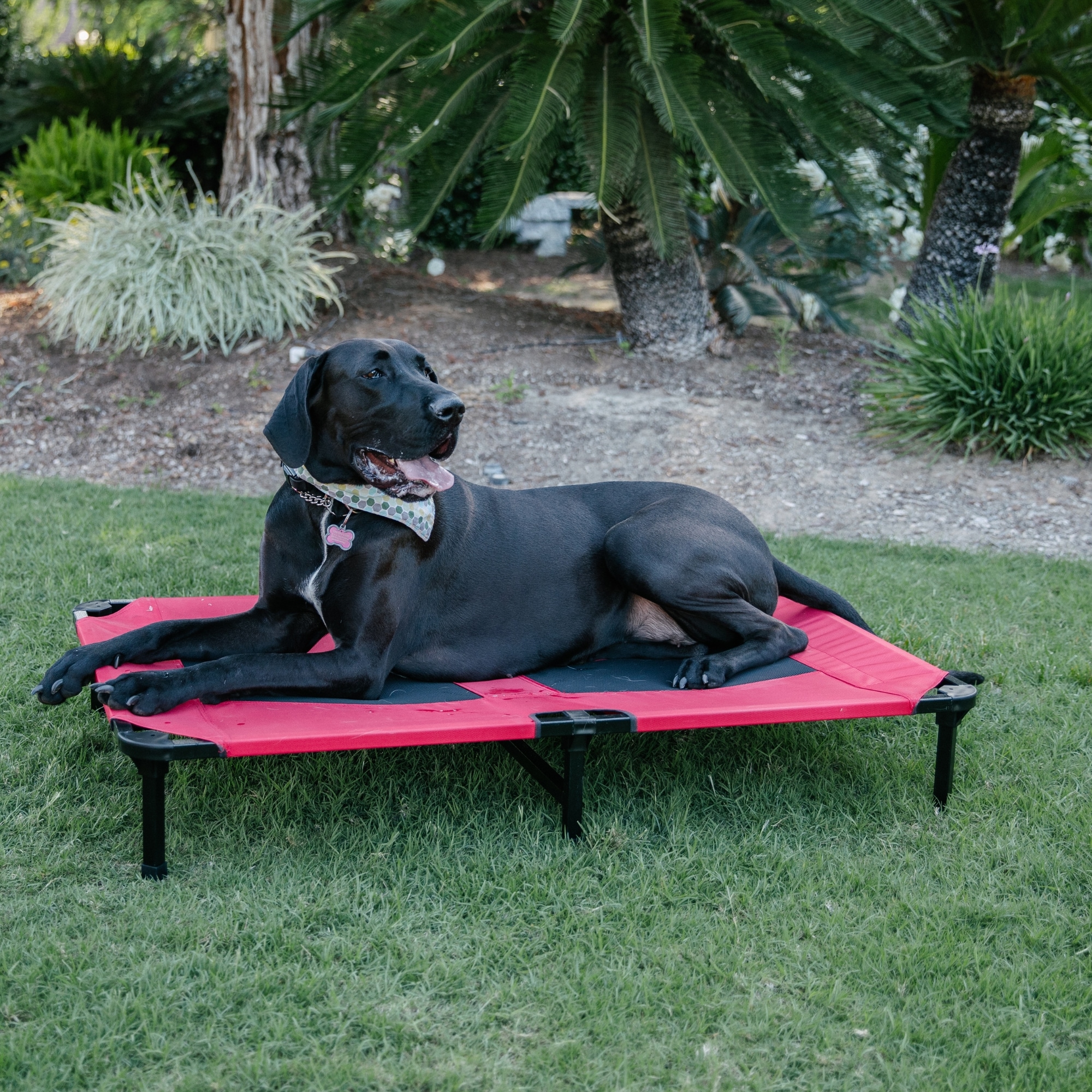 Lucky Dog CMB 10148 Pet-Beds - View #9
