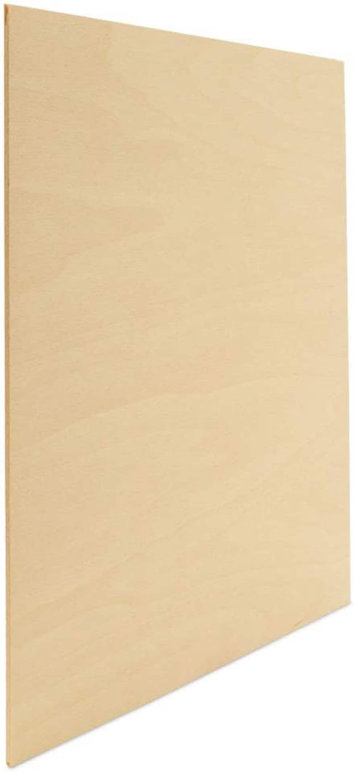Woodpeckers Crafts Baltic Birch Plywood, 3 Mm 1/8 X 12 X 8 In. Craft Wood,  Box Of 16 B/Bb in the Craft Supplies department at