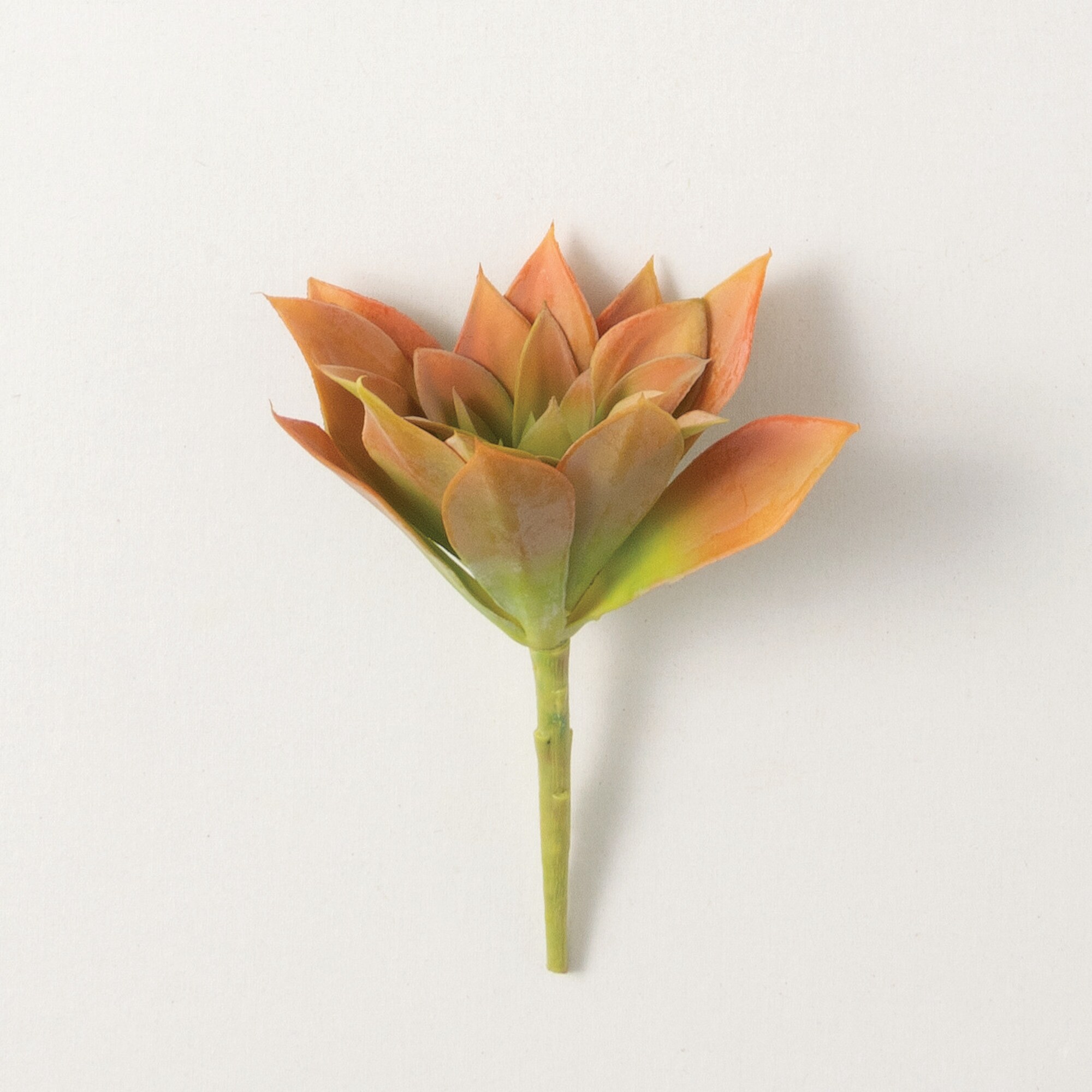 Sullivans 28262PX 8-Inches Multicolored Indoor Desktop Succulent Artificial branch/stem