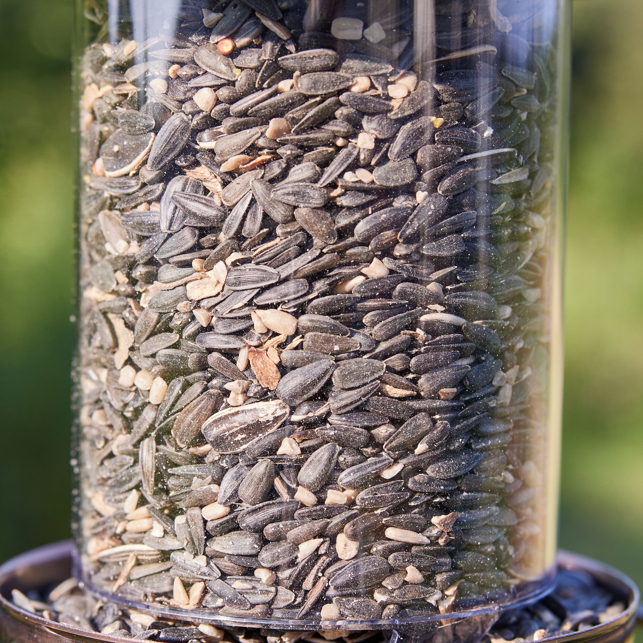 National Audubon Society 009487 Bird-Squirrel-Food - View #6