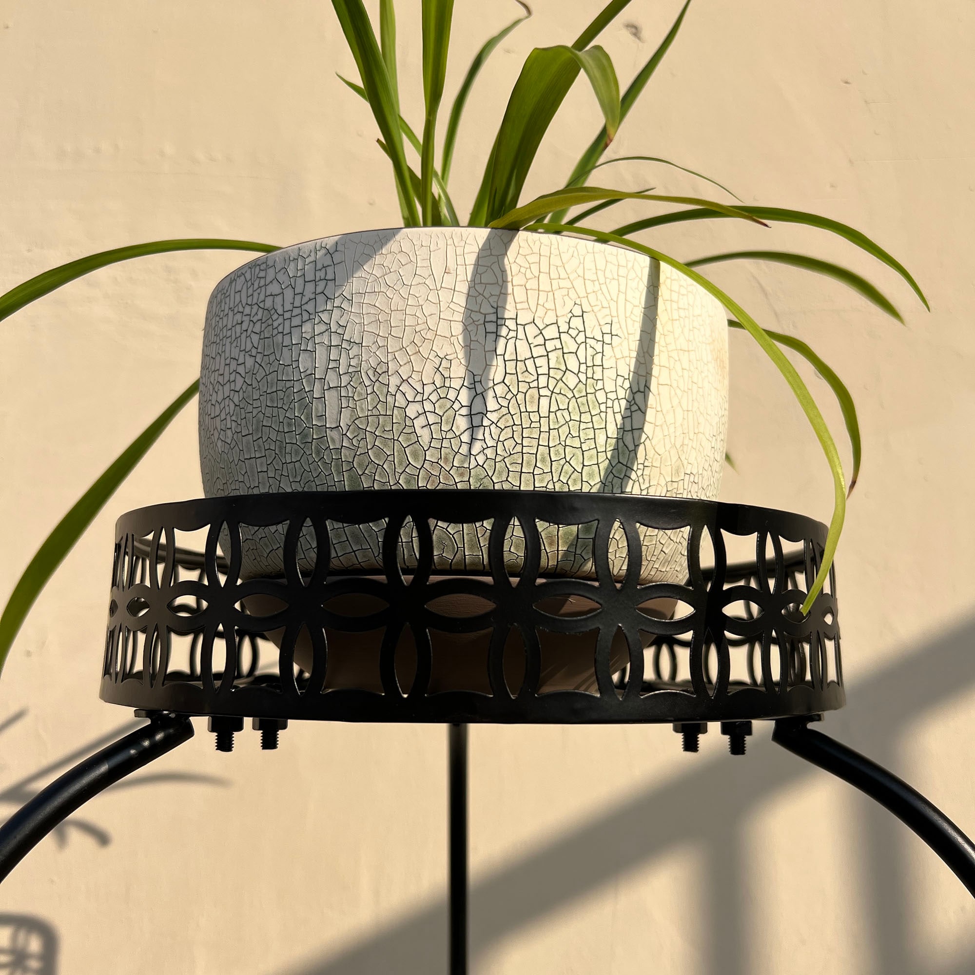 allen + roth TAODF273 Plant-Stand - View #5