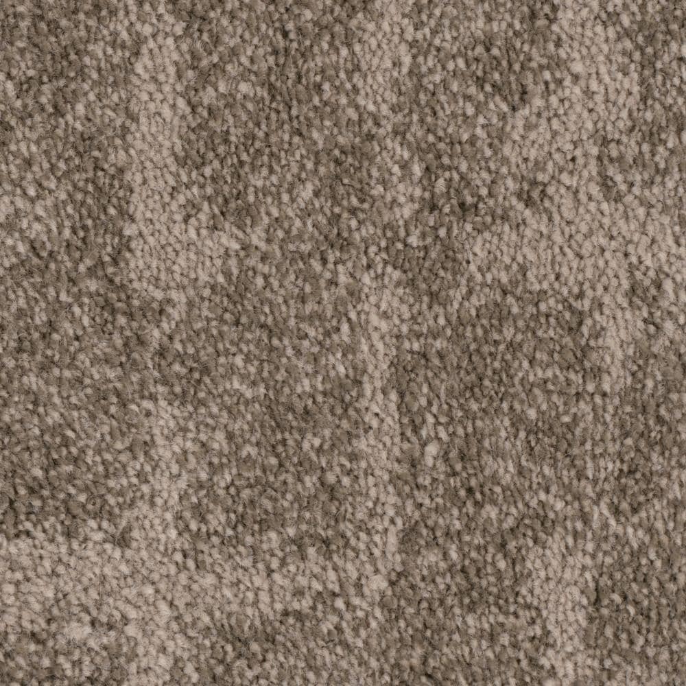 STAINMASTER S9647-846-S (Sample) PetProtect Spotlight Adept Pattern Carpet