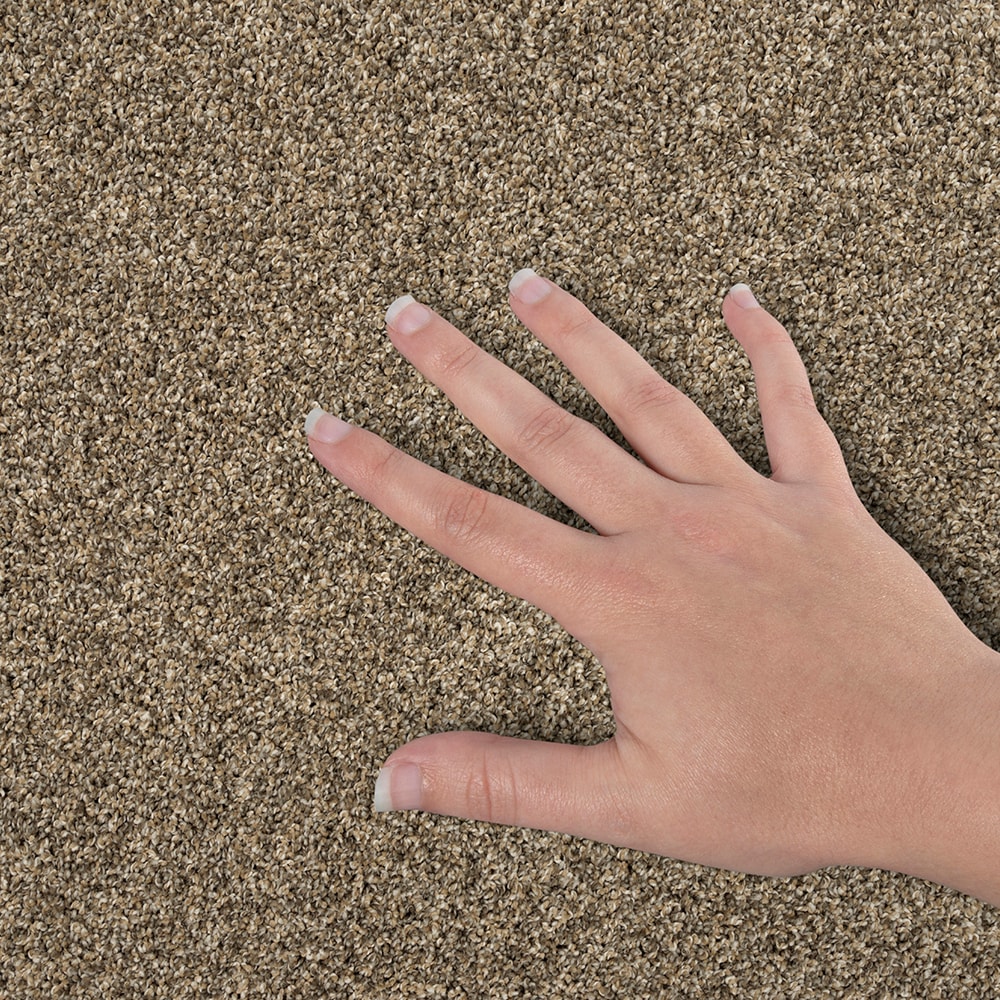 STAINMASTER SS040-L009-S0808 Carpet-Samples - View #4