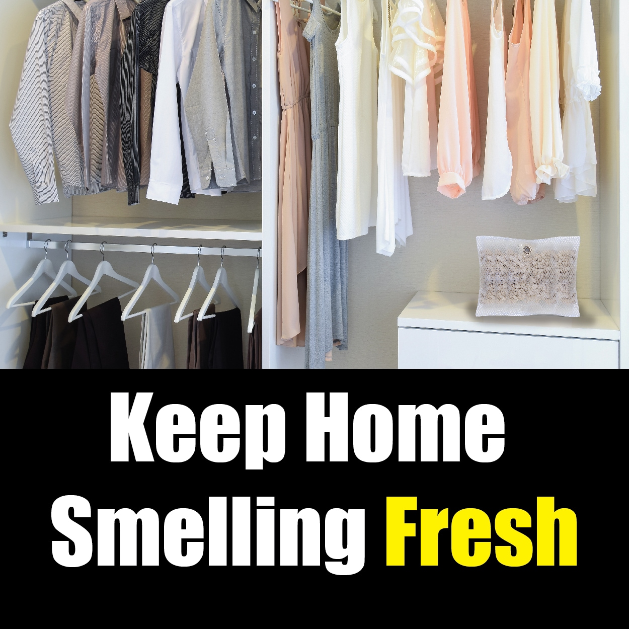 Gonzo Natural Magic 1013D Air-Fresheners - View #4