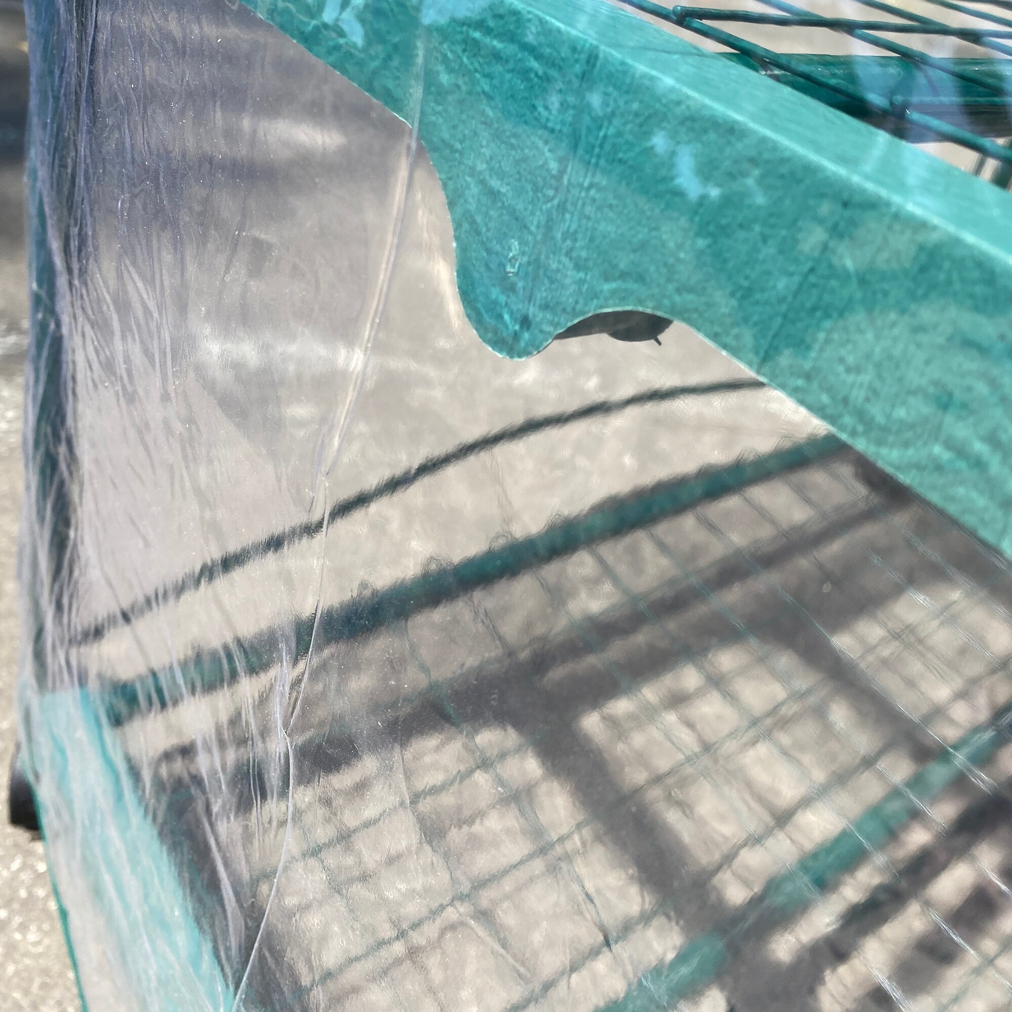 Flynama V-31277 greenhouses - View #6