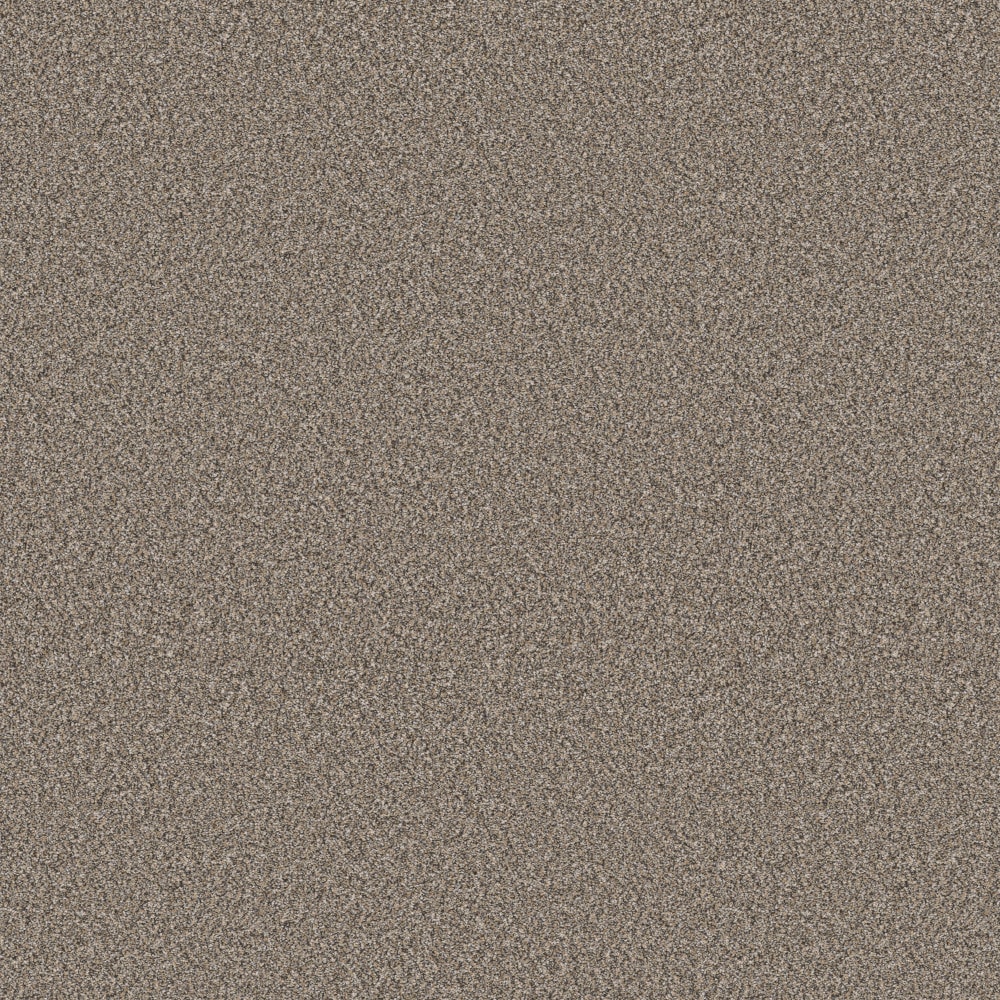 STAINMASTER 7L956-702-SAMP (Sample) 8-in x 8-in Animated II Prairie Brown 63.4-oz sq yard Solution-dyed polyester Textured Indoor Carpet