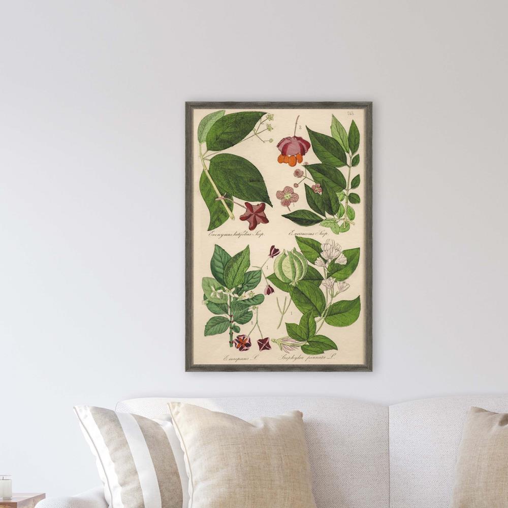 Paragon Wood Framed 39-in H x 27-in W Botanical Paper Print in the Wall ...