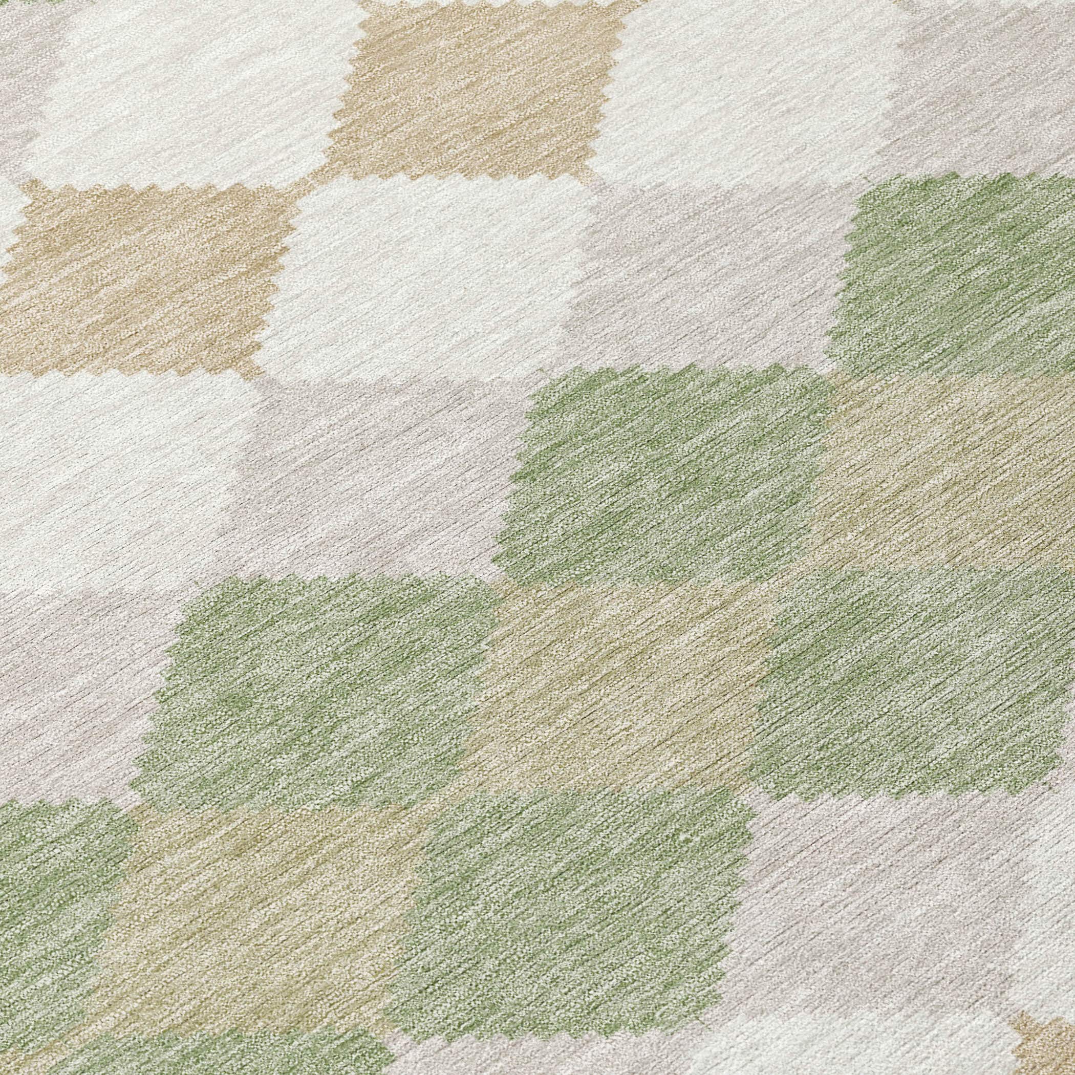 Addison Rugs ACN1007AL30X46 rugs - View #6