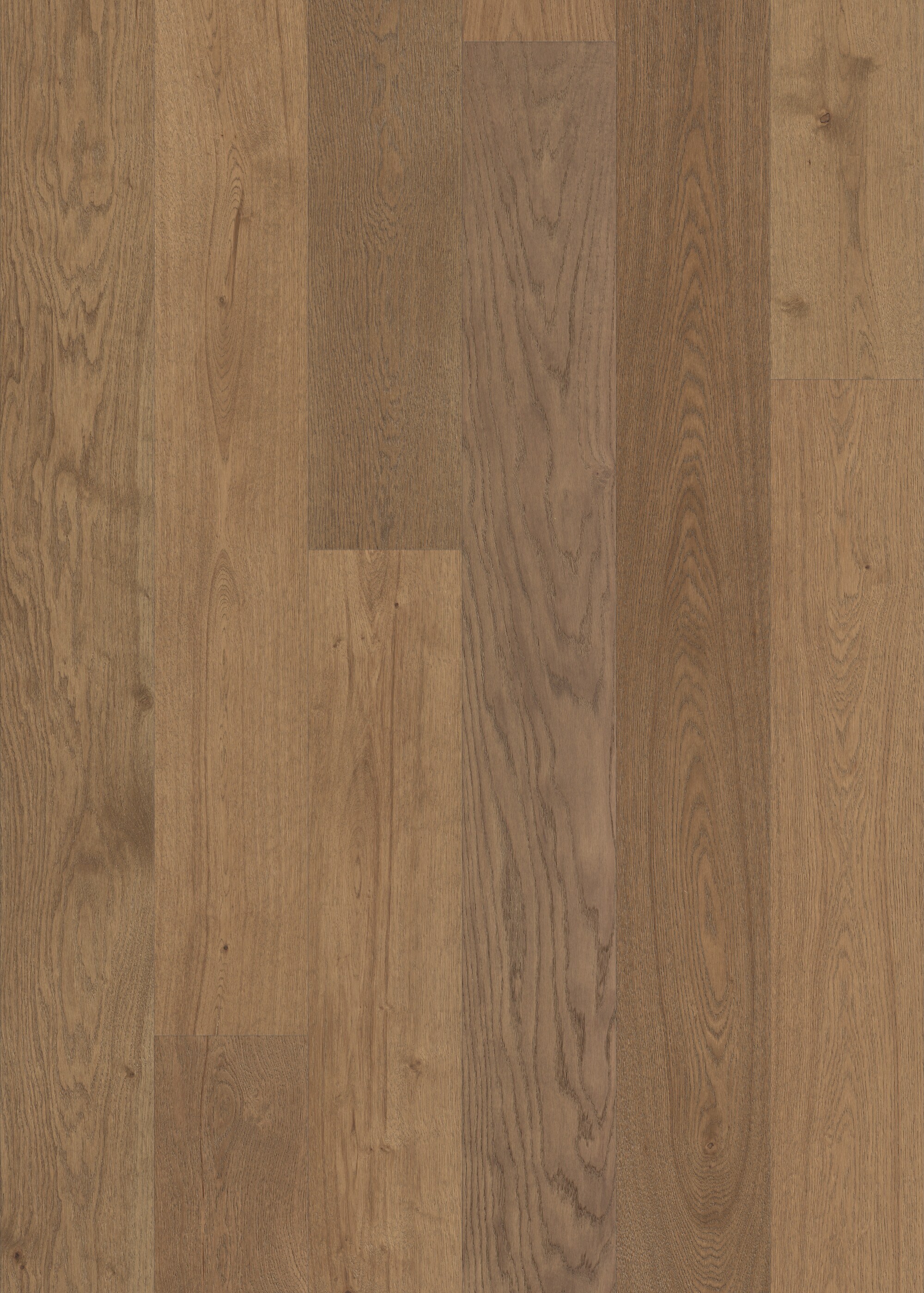 Shaw Plenarius Orozco White Oak 7-1/2-in W x 1/2-in T x Varying