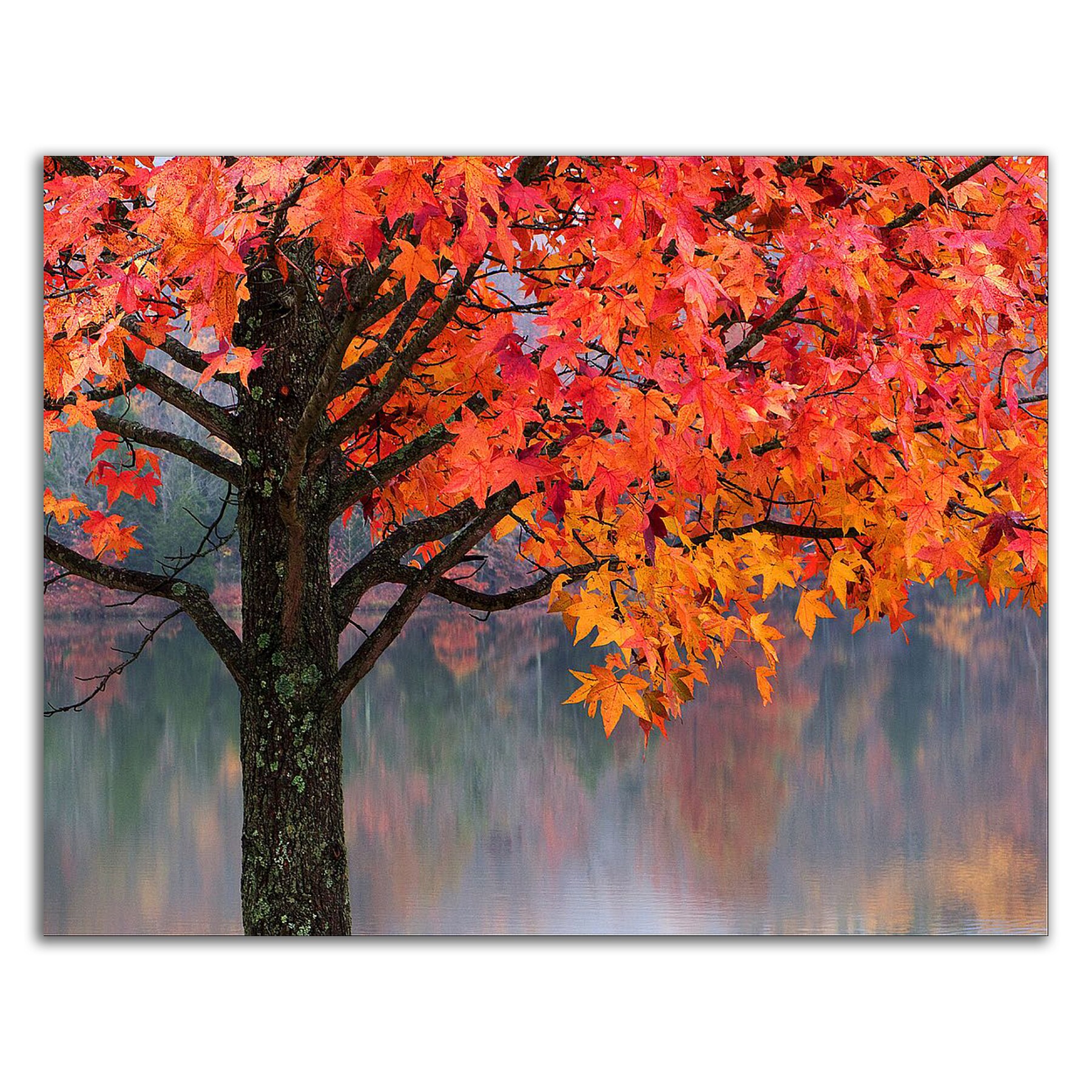 Tangletown Fine Art 8H1532DC-1814 Wall-Art - View #3