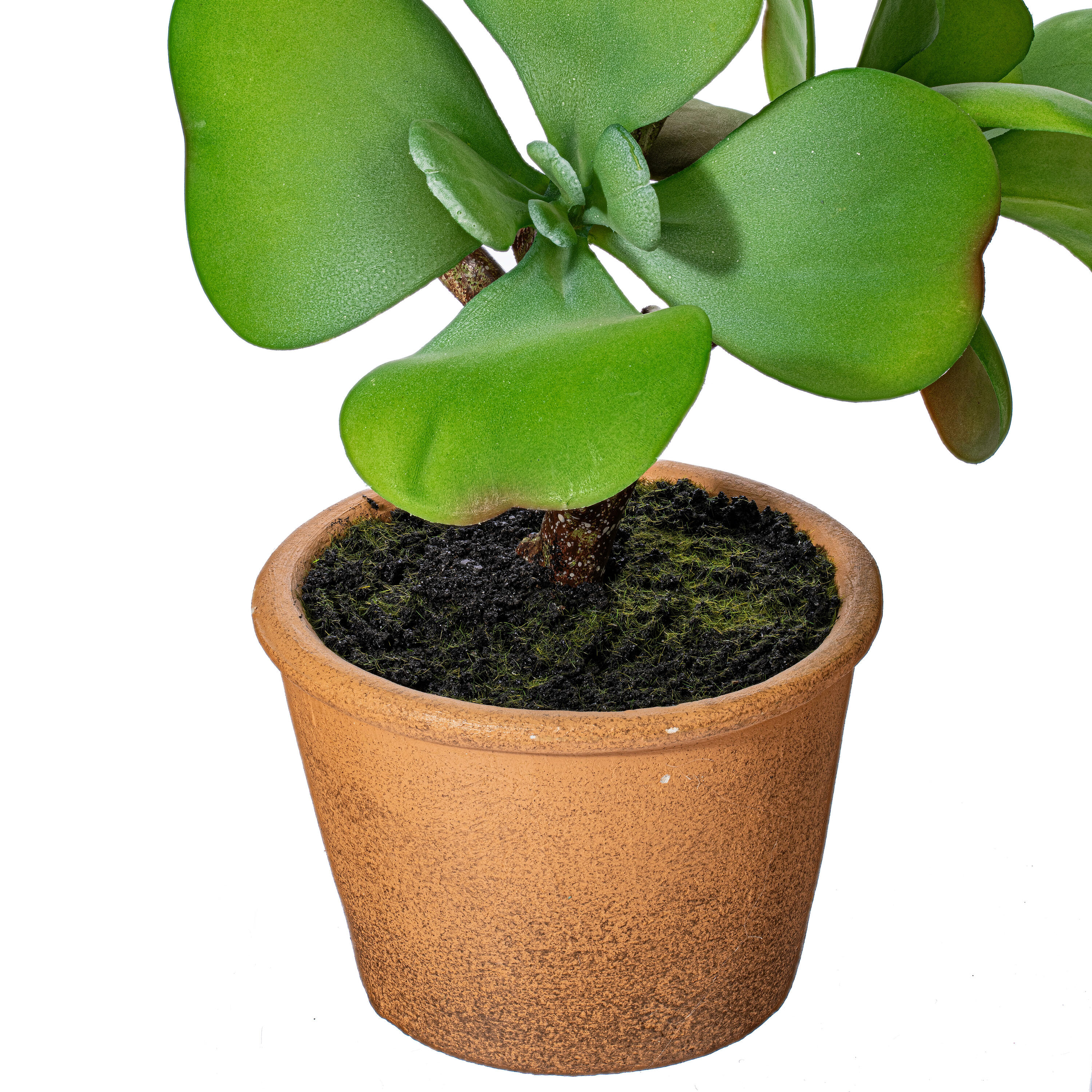 Vickerman FE191914 Artificial-Plants-Trees - View #3