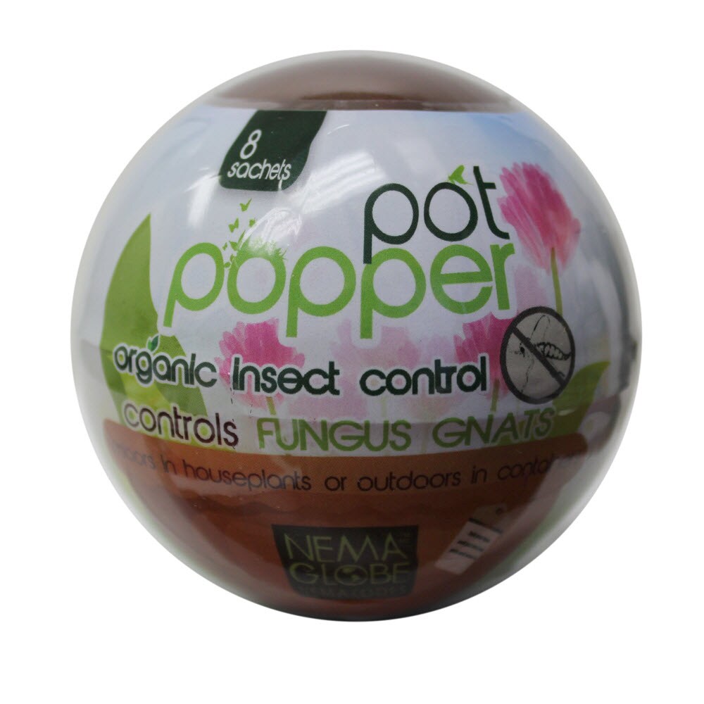 Nema Globe Pot Popper at