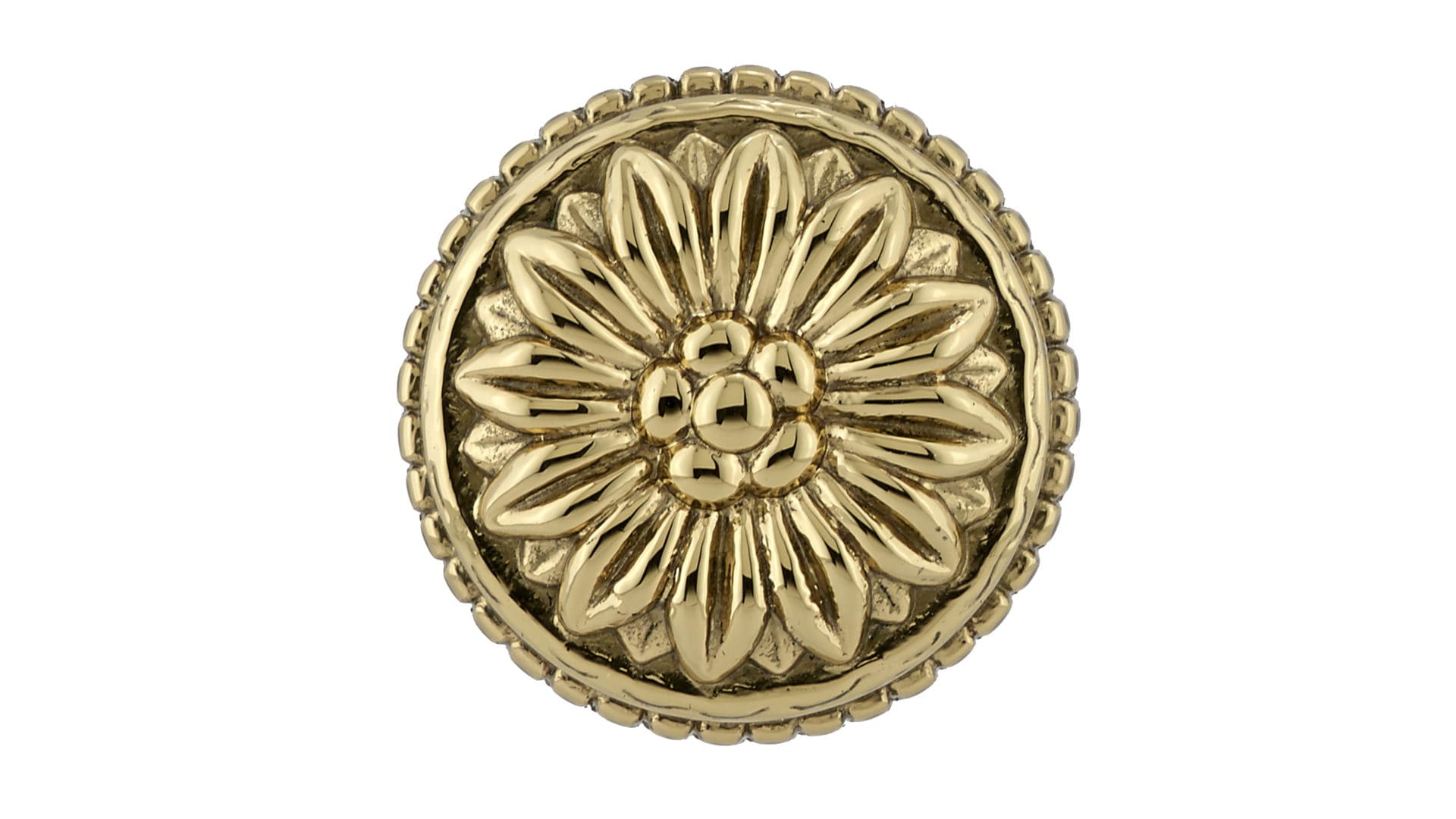 Richelieu 1-3/16-in Brass Round Traditional Cabinet Knob in the Cabinet ...