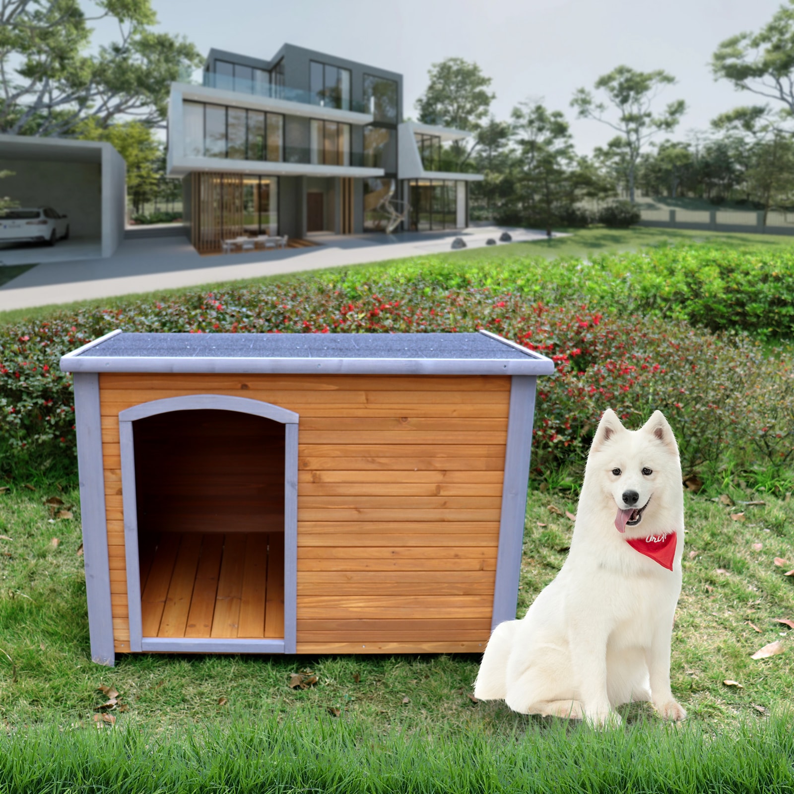 Fresh Look at Lovmor Indoor Outdoor Wooden Dog Kennel Weatherproof Raised Feet For