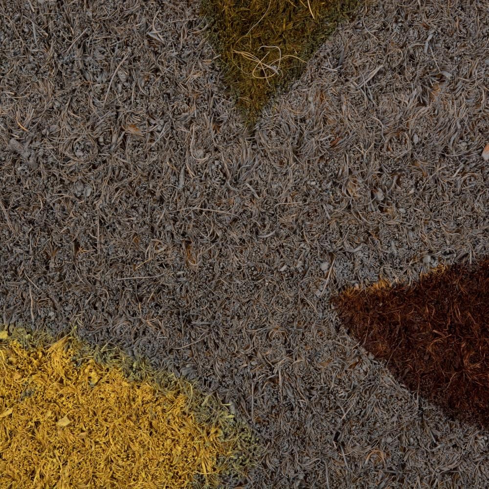 DII 4291A Mats-Cat - View #2
