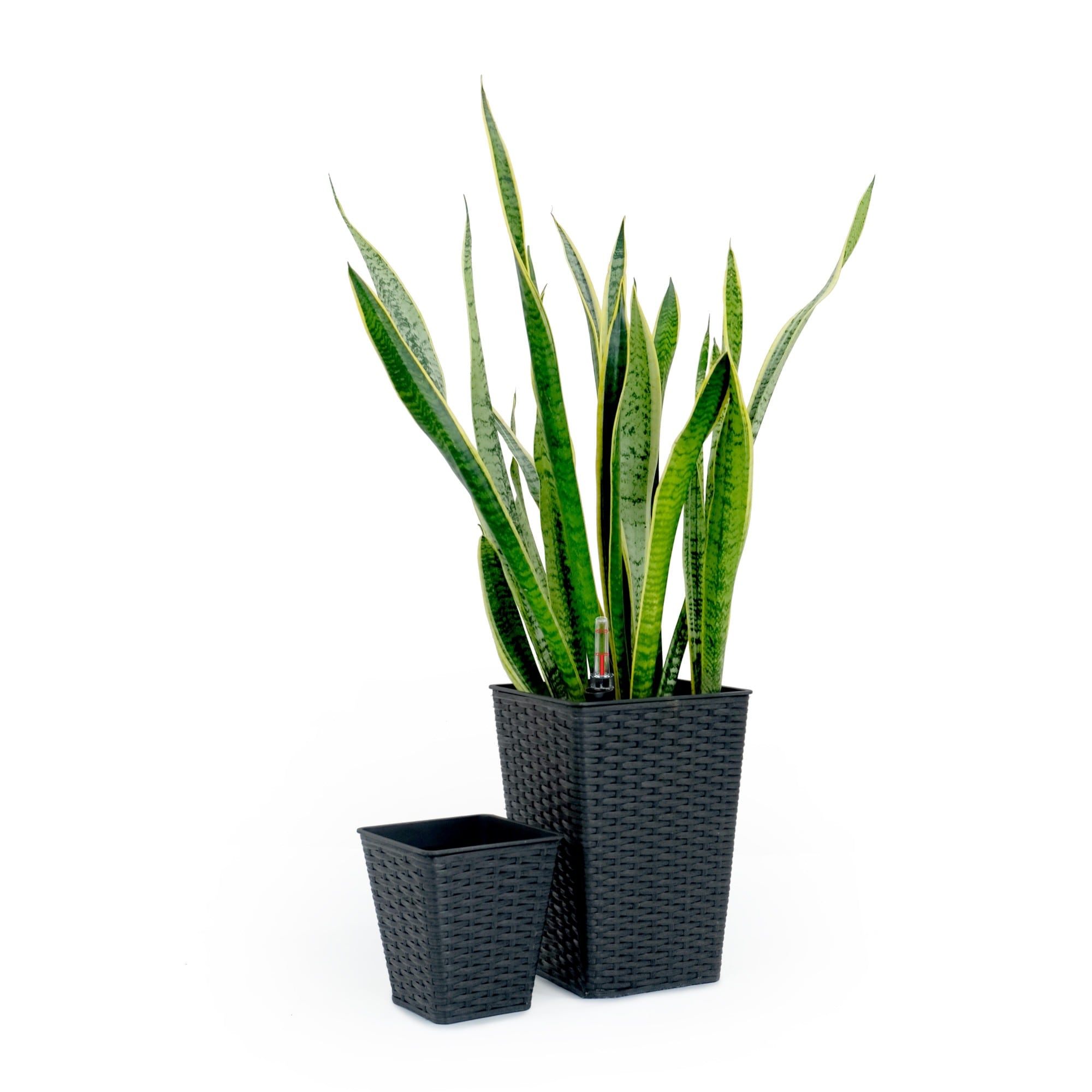 Yiekholo LL-1665AA Planter-Window-Box - View #2