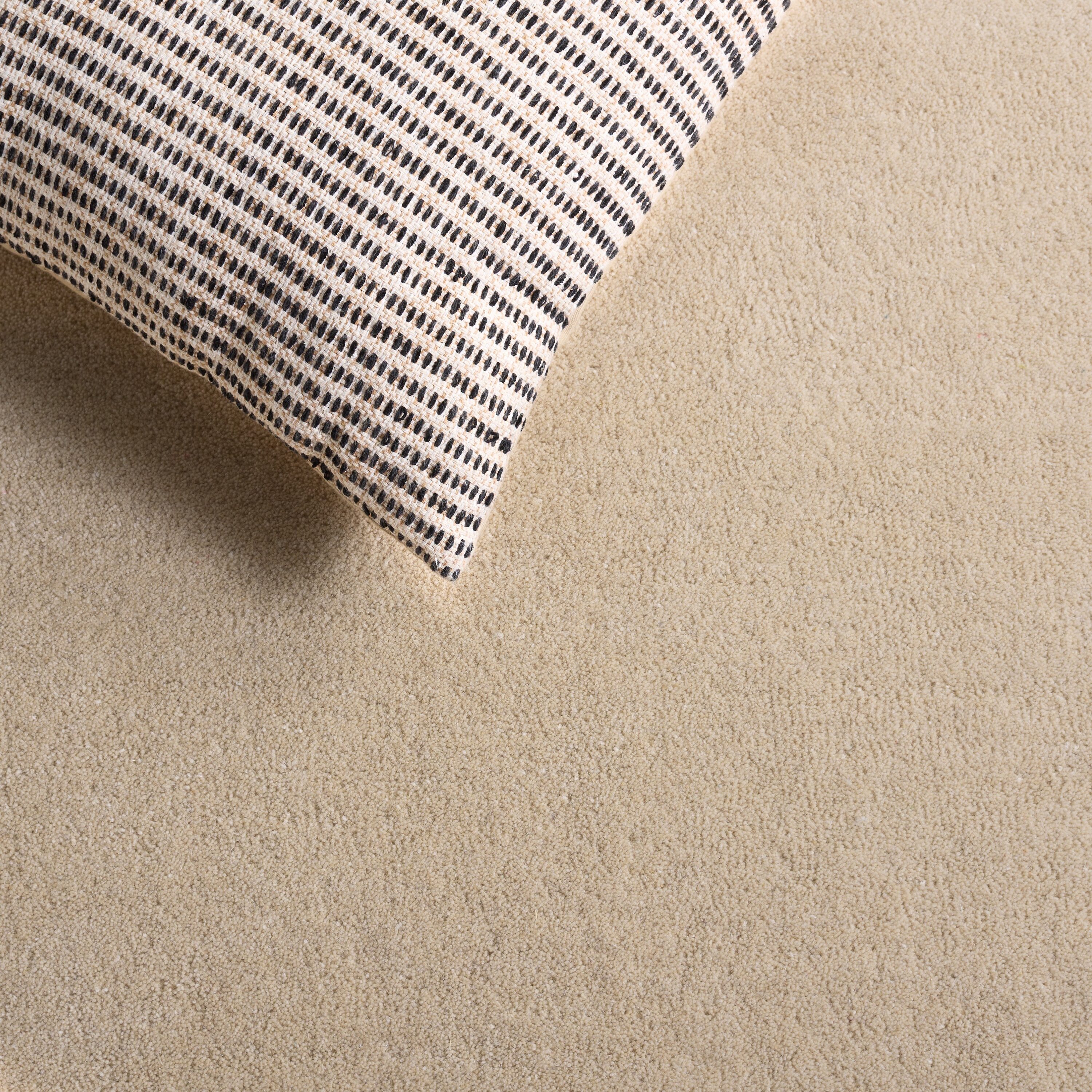 Safavieh FTV106B-9 rugs - View #5