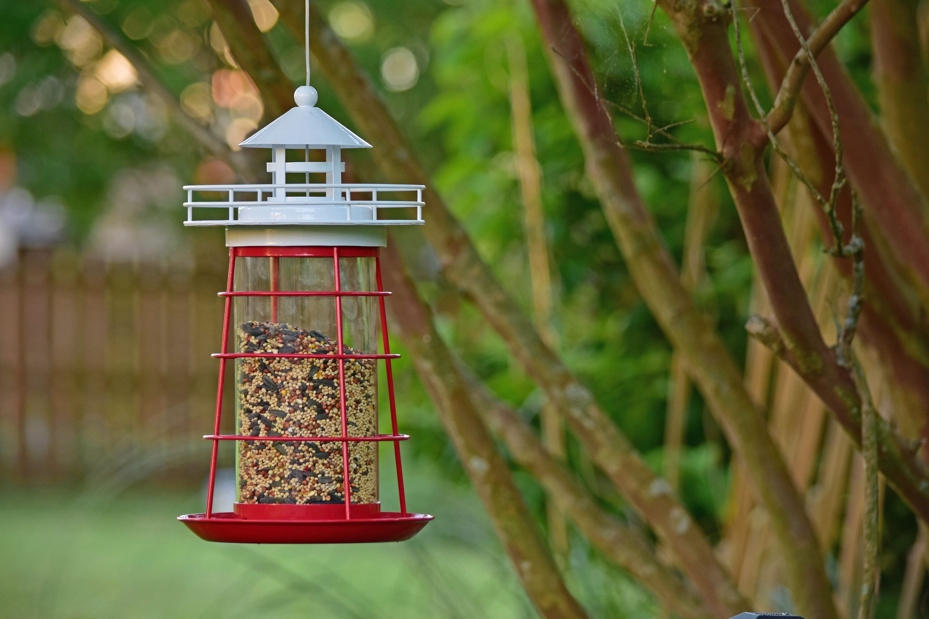 Backyard Glory 01-170338-20 Bird-Feeders - View #4
