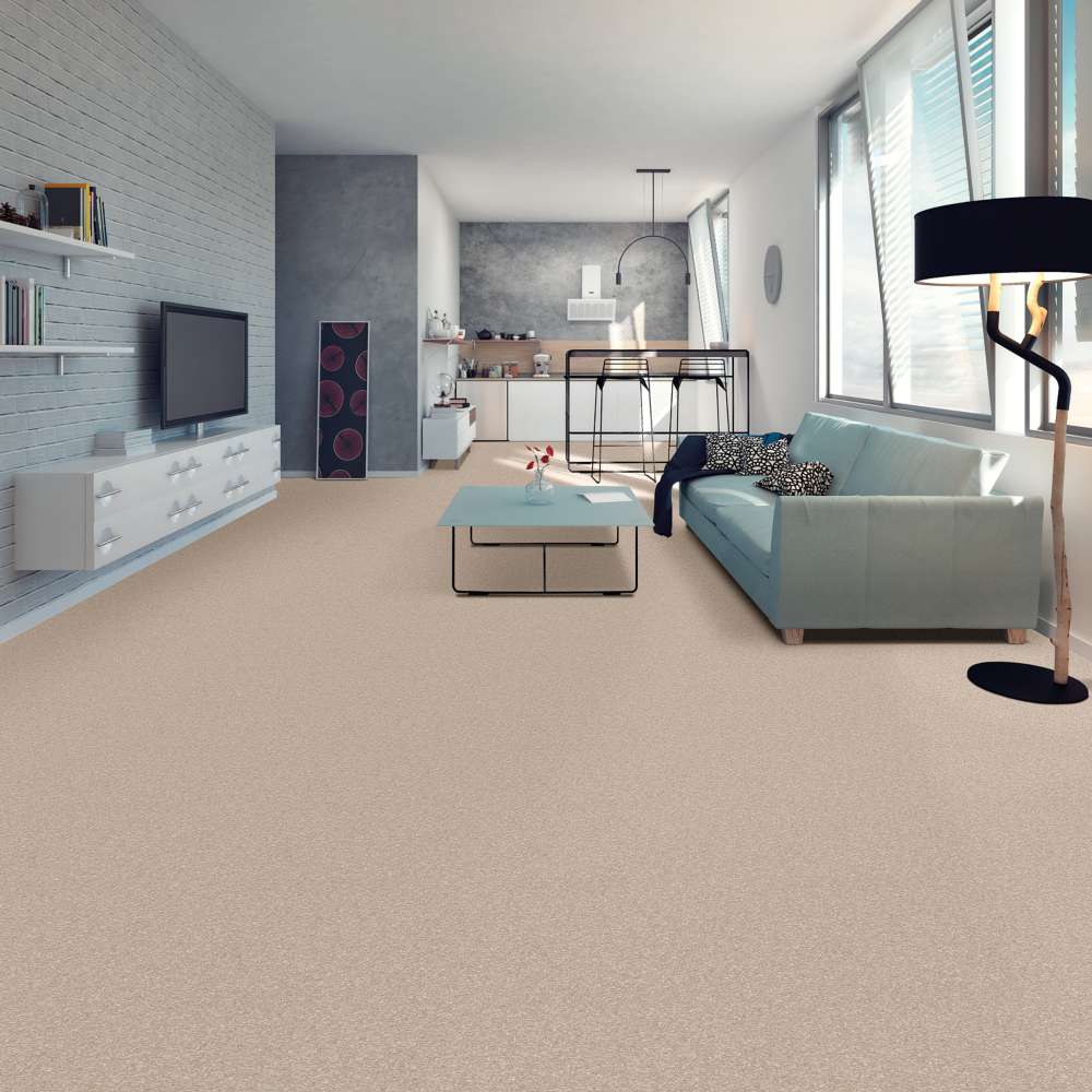 STAINMASTER 7L79300126 Carpet-Panel - View #3