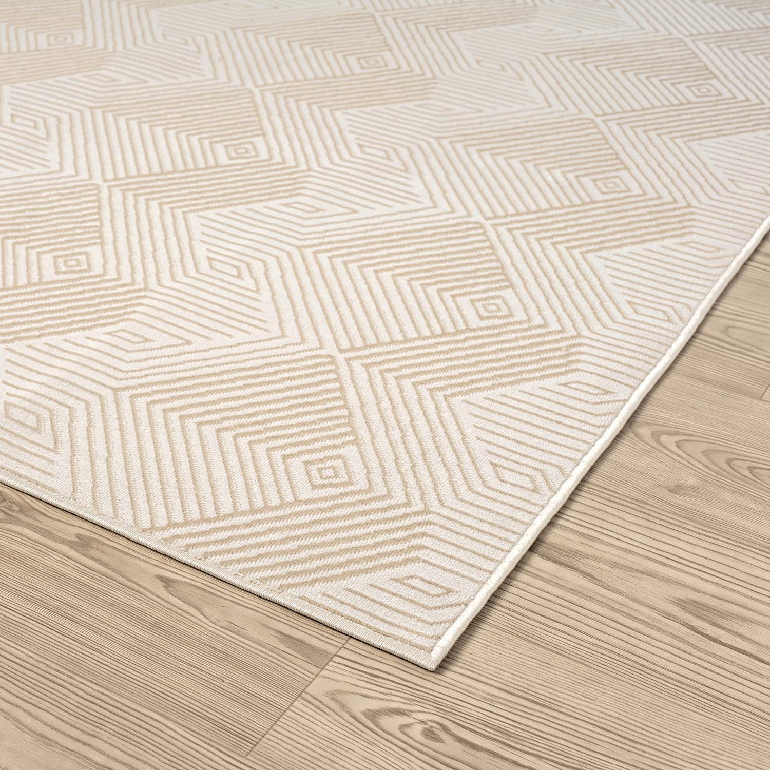 Abani Rugs REG530A-6 rugs - View #3