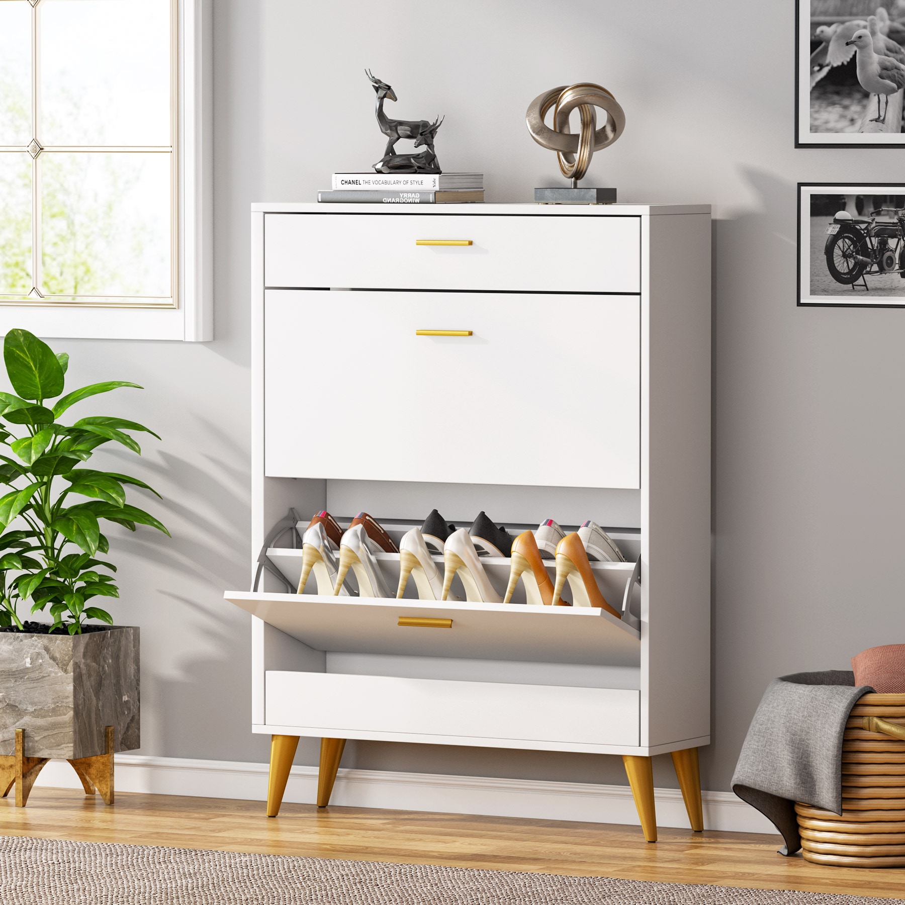 Tribesigns Shoe Cabinet, Shoe Rack with 10 Adjustable Compartments