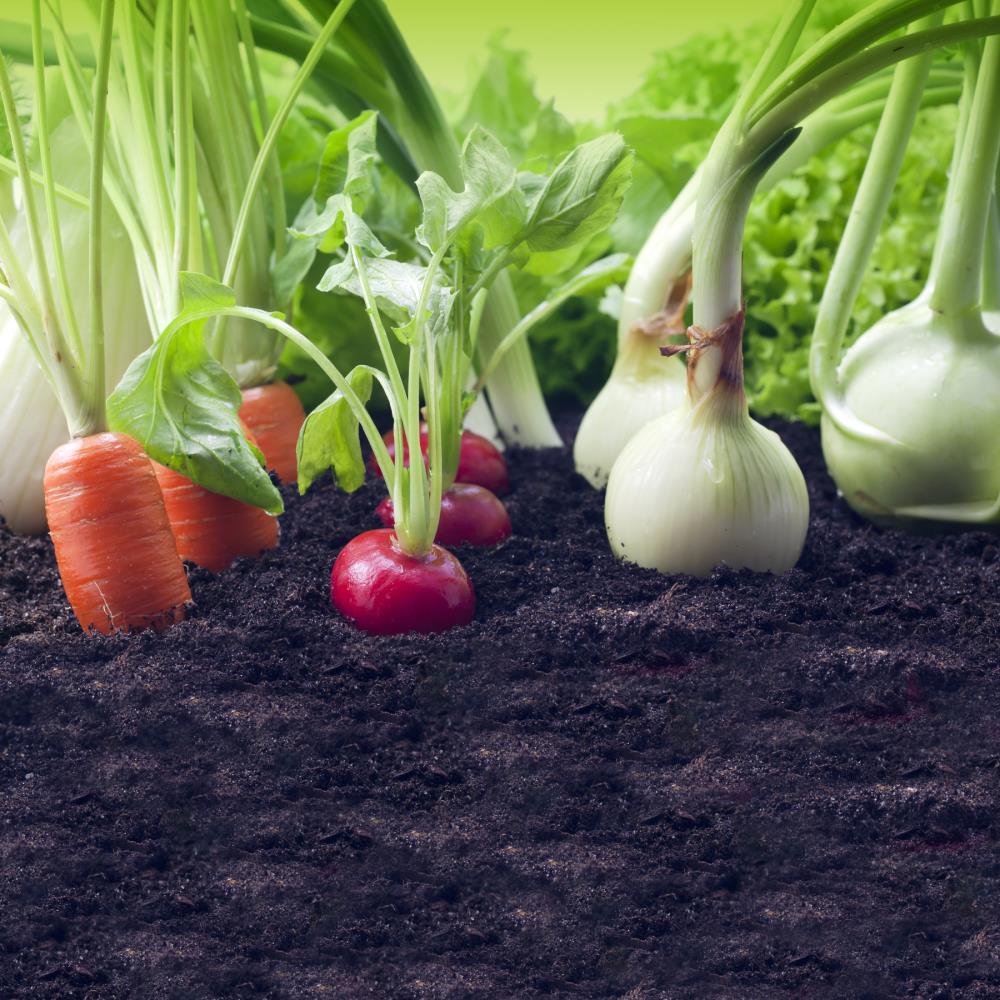Hopper HOPRPLNSL Garden-Soil-Soil-Amendments - View #2
