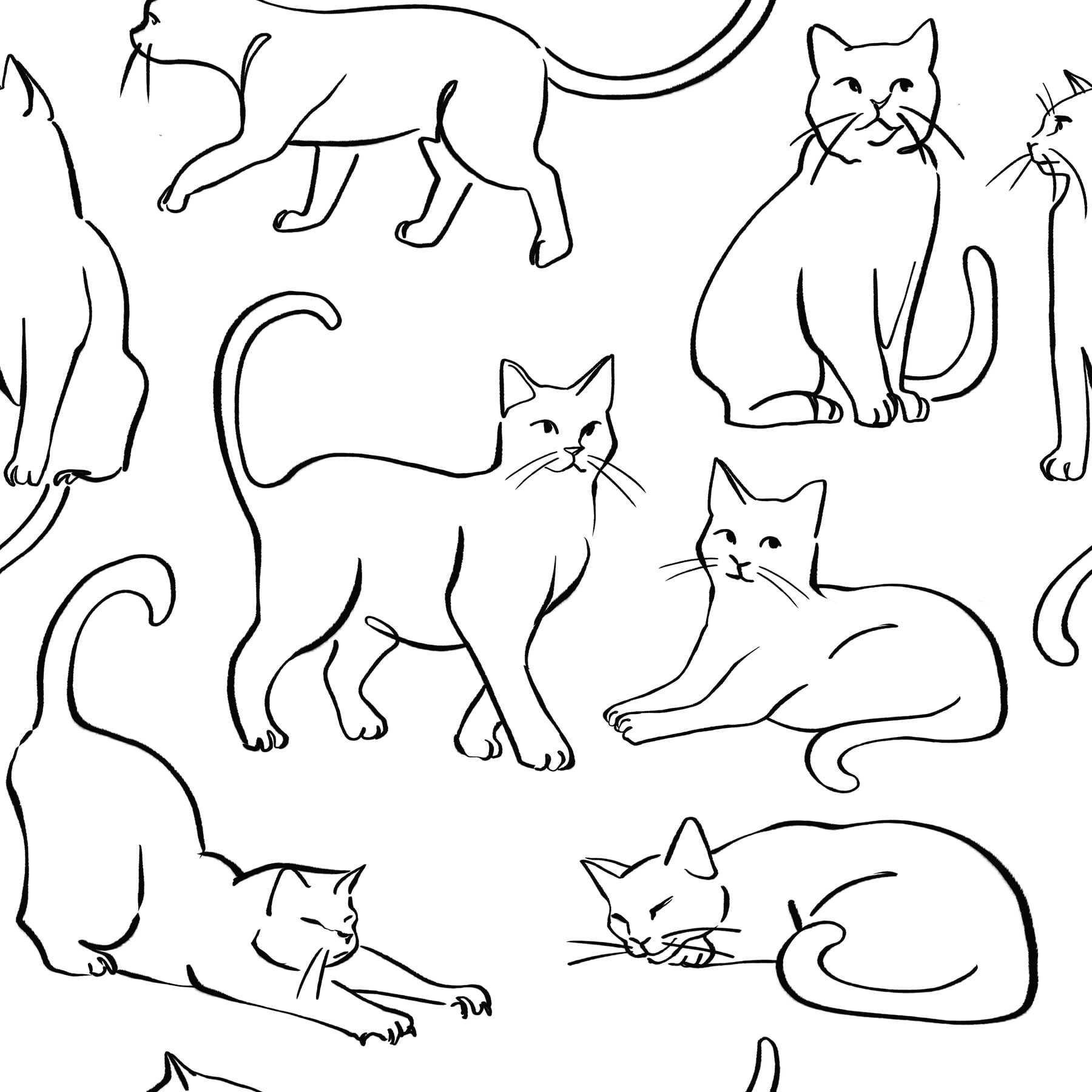 RoomMates 30.8-sq ft Black White Vinyl Novelty Self-adhesive Peel and Stick Wallpaper