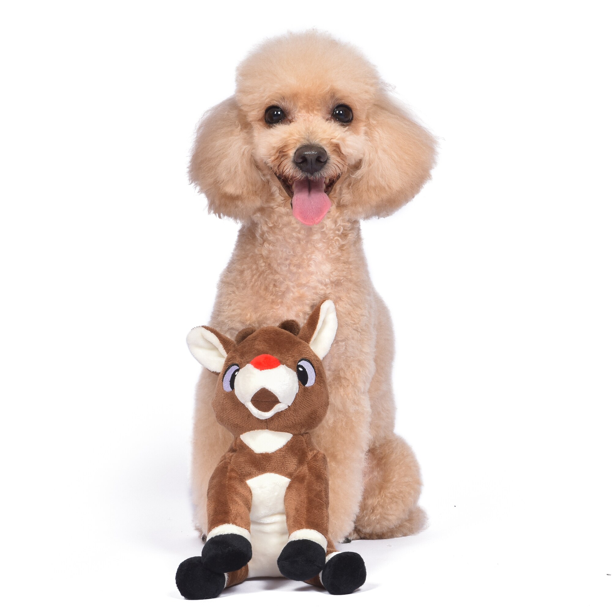 Rudolph the red nosed reindeer sales dog toys