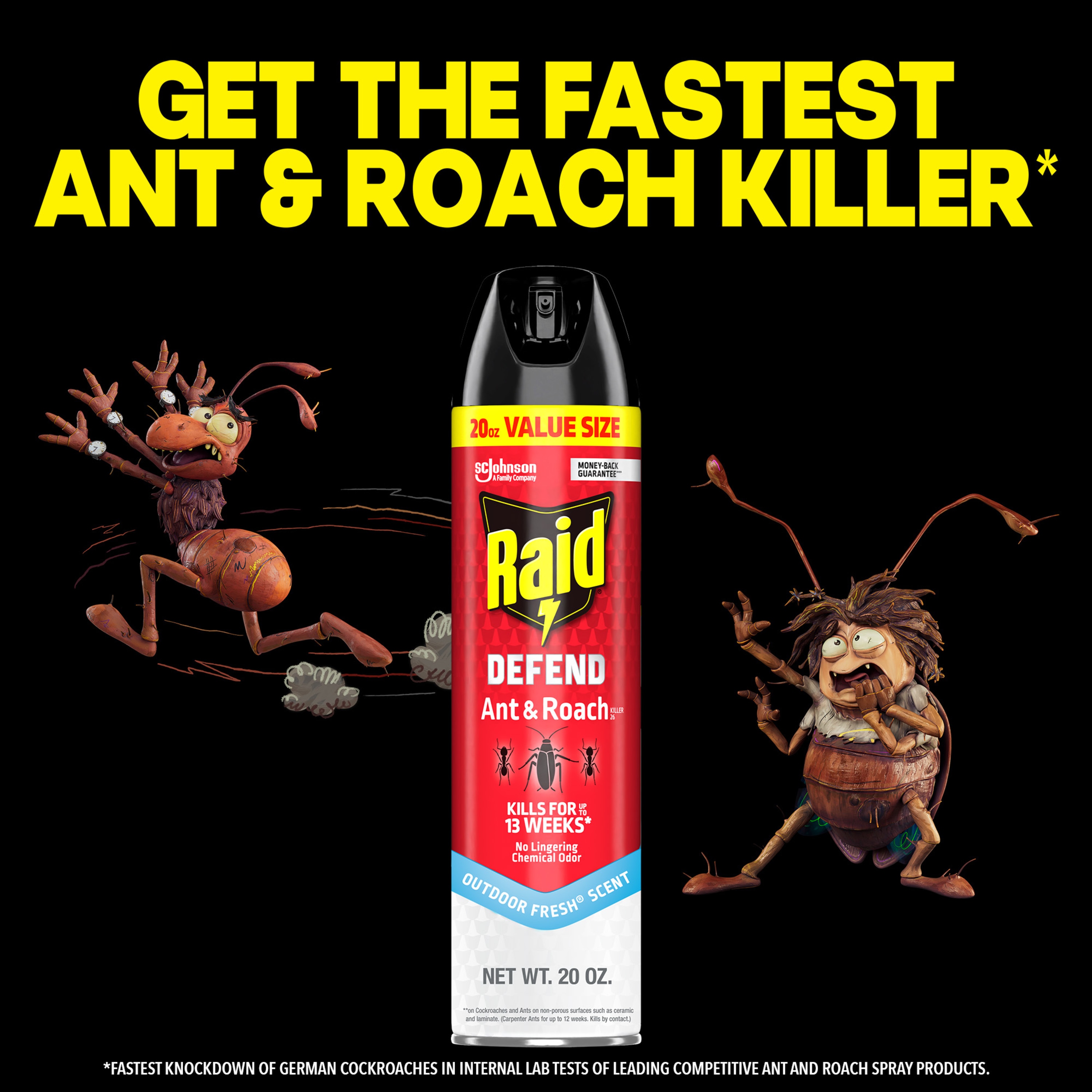 Raid 327310 pesticides - View #6