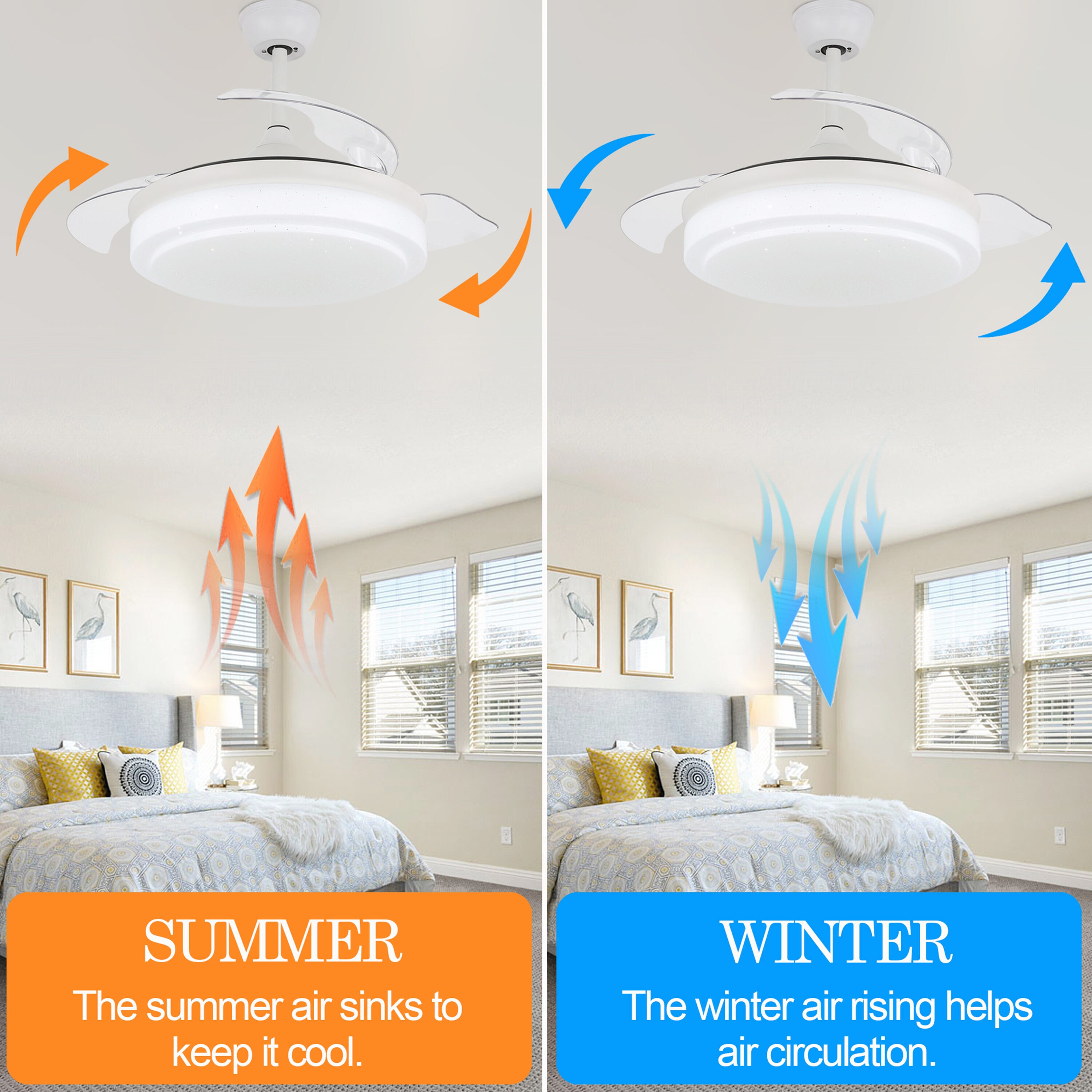 Oaks Decor BD4262-C Ceiling-Fans - View #4