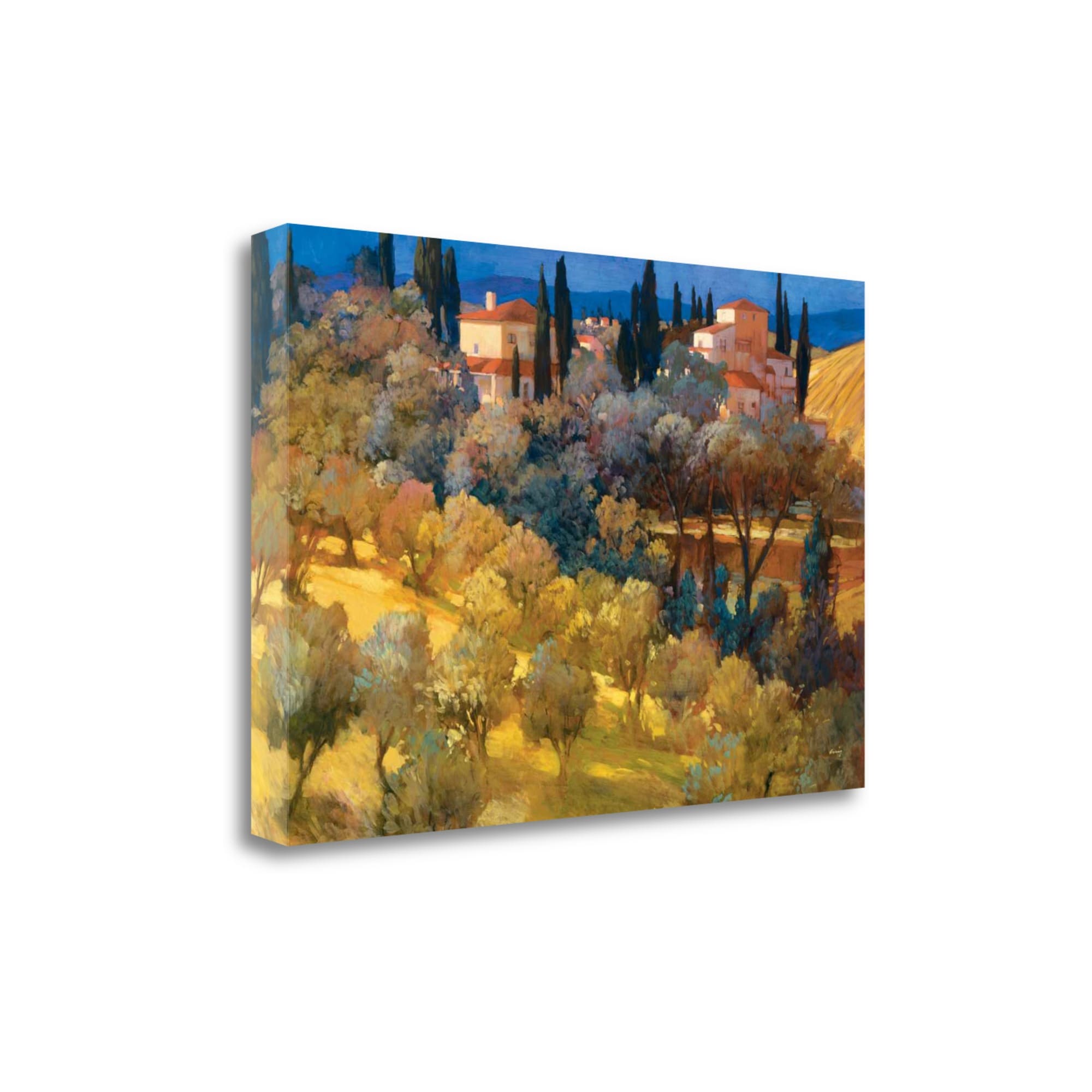 Tangletown Fine Art CA308228-4832C Florentine Landscape Philip Craig 32-in H x 47-in W Landscape Print on Canvas