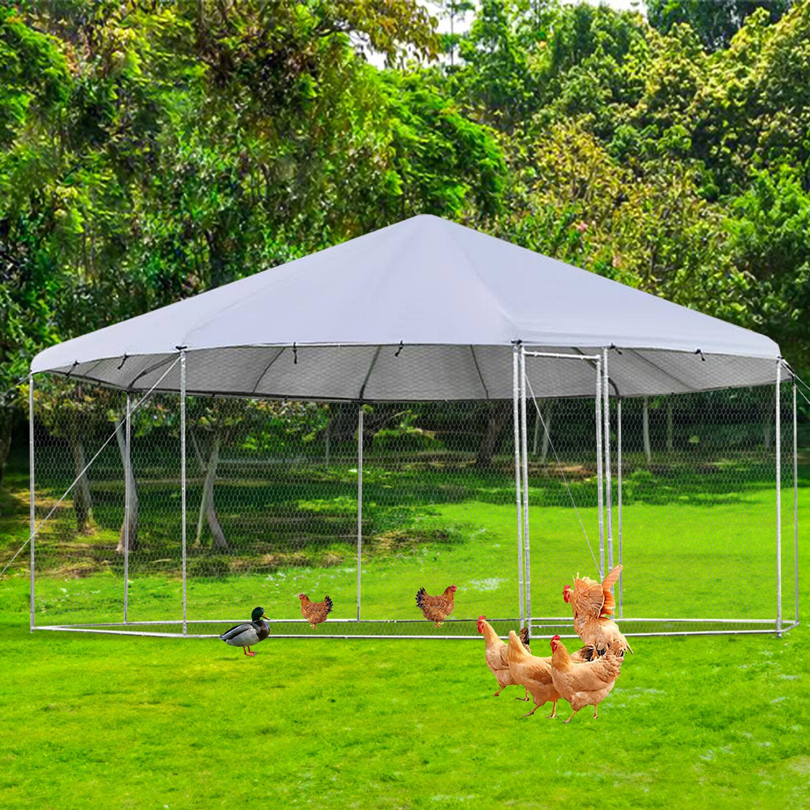 Maocao Hoom JL133557 Chicken-Coops-Rabbit-Hutches - View #3