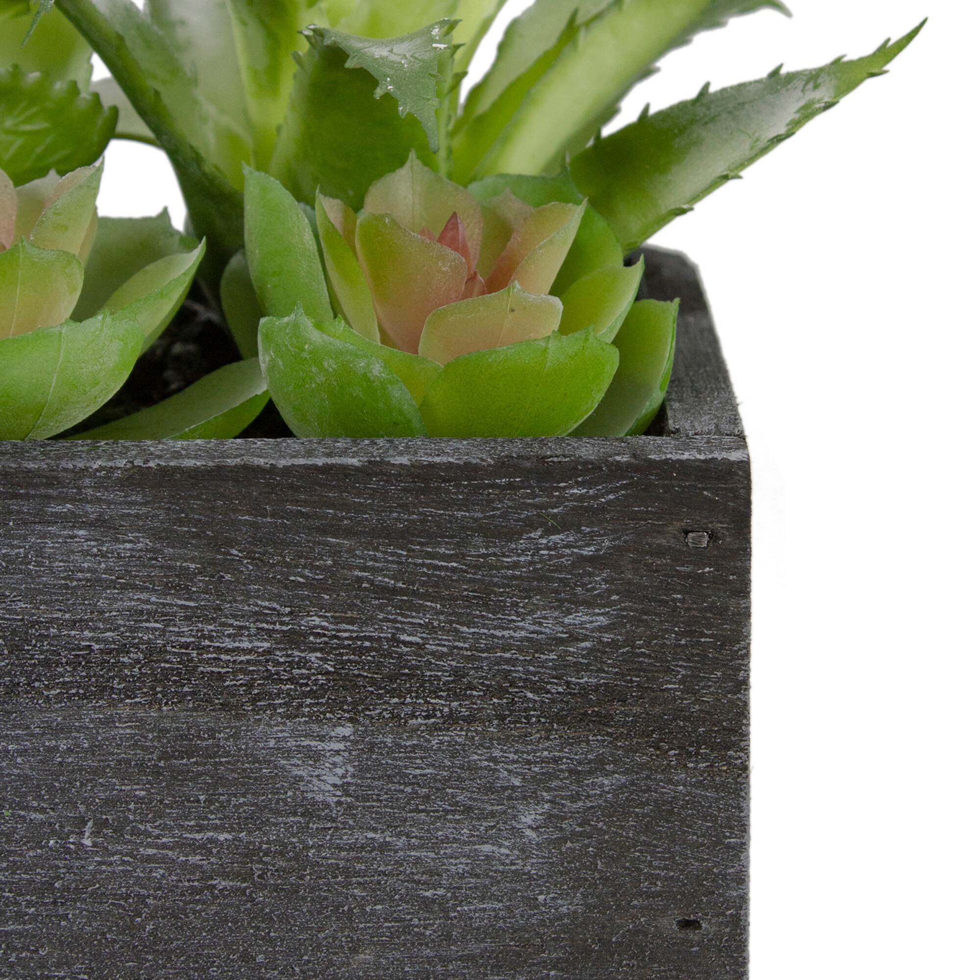 Artificial Succulent Filler Light Green - Threshold™