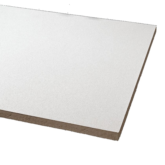 Armstrong Ceilings 48-in x 24-in Clean Room VL Unperforated 8-Pack White Smooth 15/16-in Drop Acoustic Panel Ceiling Tiles Armstrong Ceilings 48-in x 24-in Clean Room VL Unperforated 8-Pack White Smooth 15/16-in Drop Acoustic Panel Ceiling Tiles