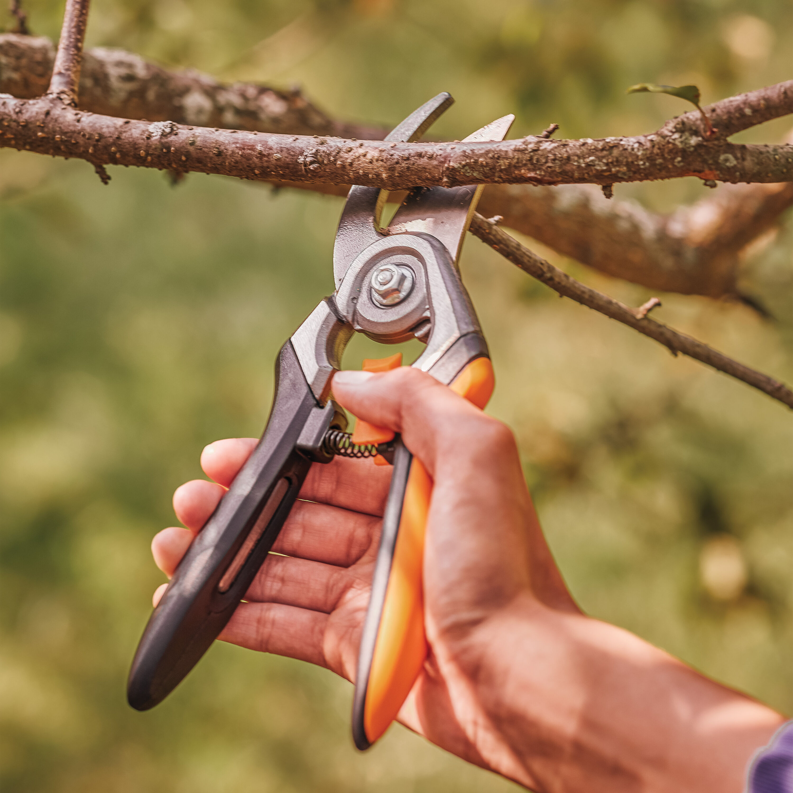 Fiskars 392785-4001 Hand-Pruners - View #2