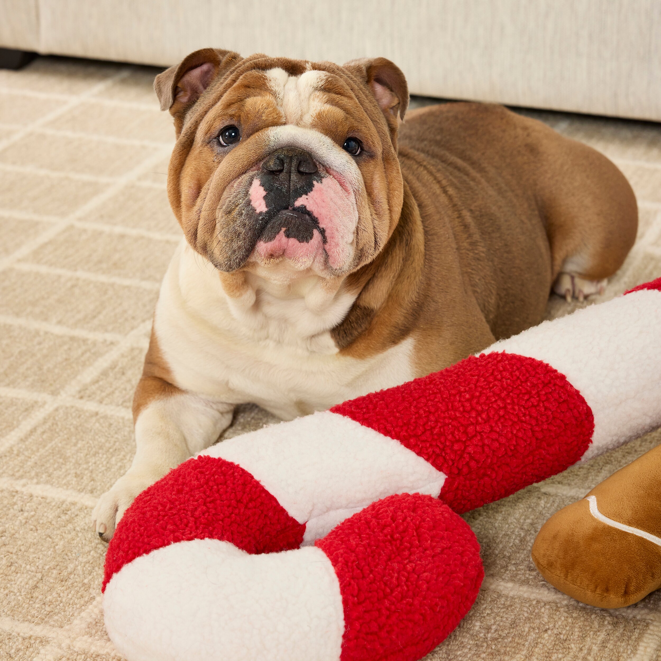 Heart & Herd YT0412 Dog-Toys - View #7