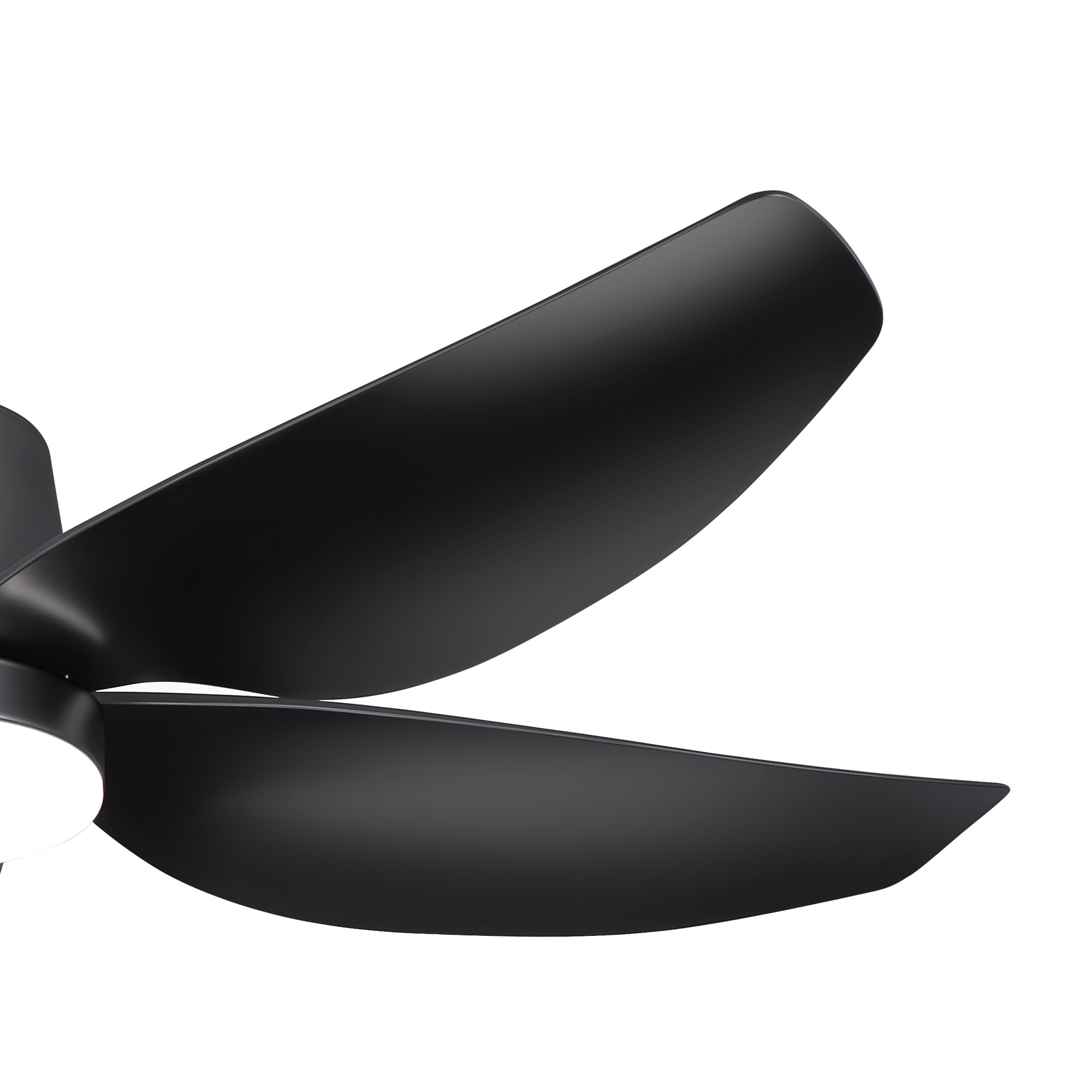 Breezary BZ24002-ORB-PC Ceiling-Fans - View #15