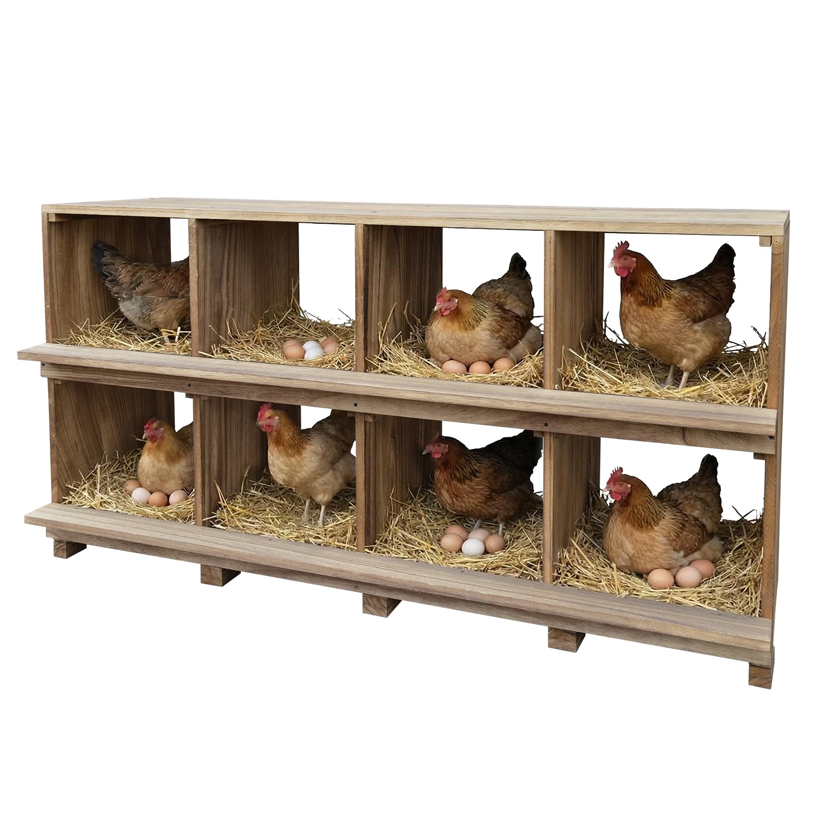DEXSO ENCOREPPSBA3839 Chicken-Coops-Rabbit-Hutches - View #7