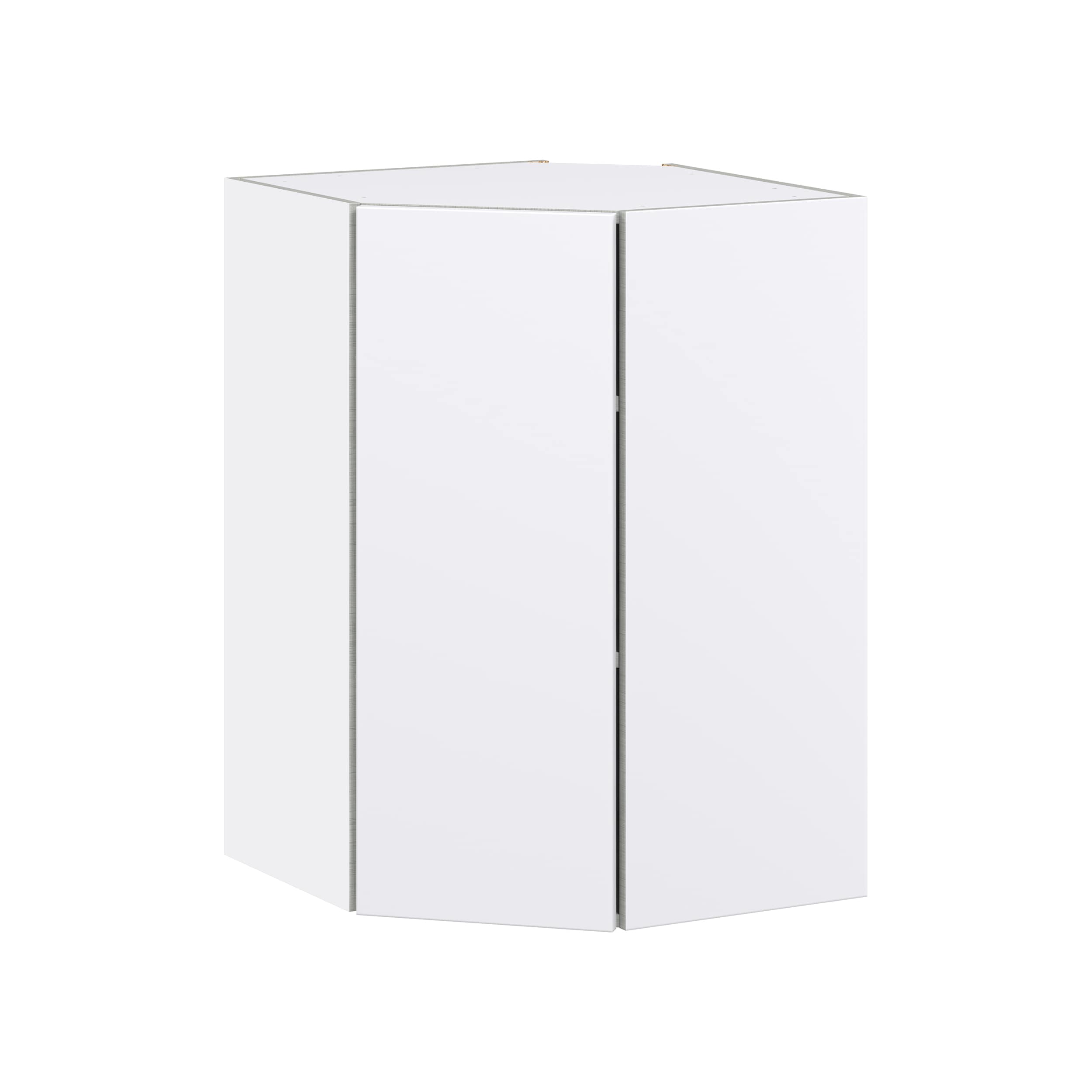Hugo&Borg Lasalle 24-in W x 35-in H x 14-in D Bright White Slab Wall Fully Assembled Cabinet (Flat Panel Slab Door Style)