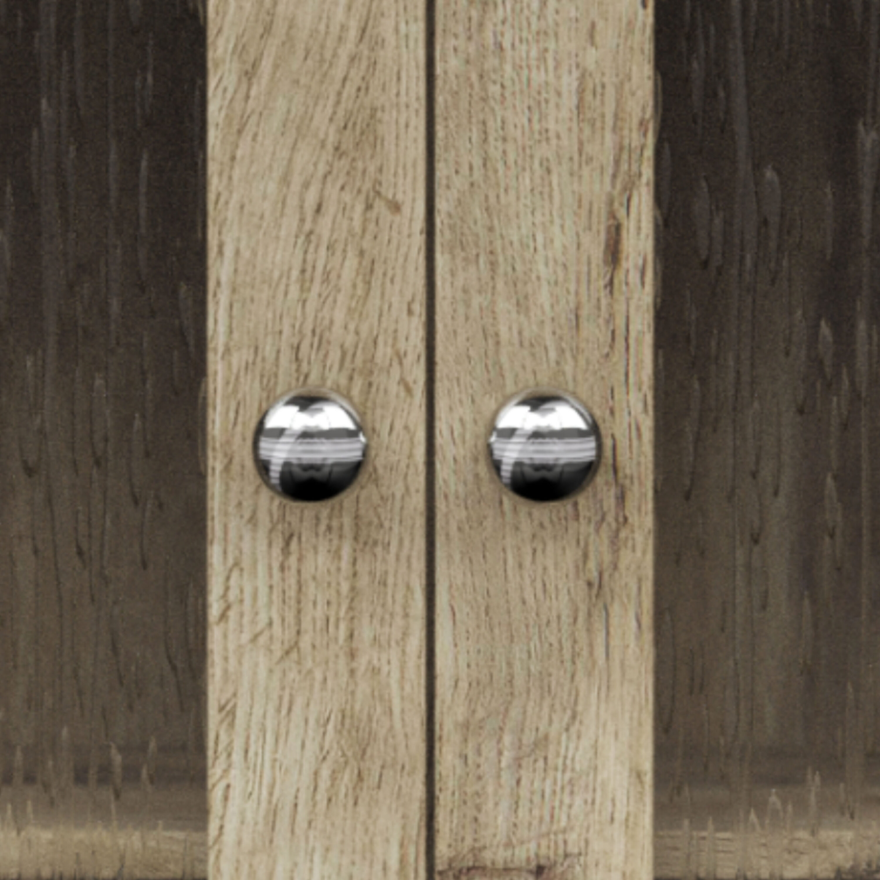 Connor Light Oak Two-Door Wall Cabinet with Adjustable Shelves