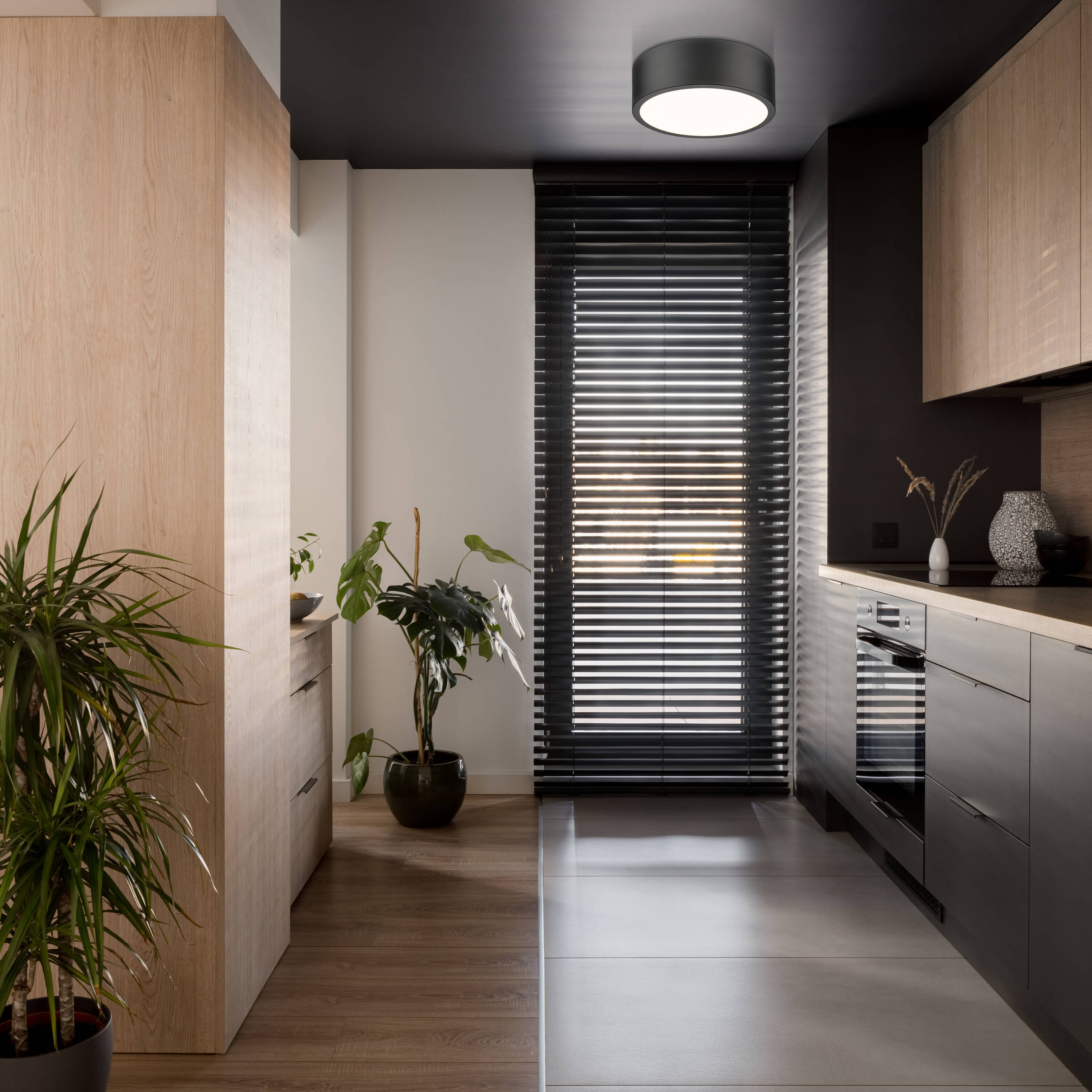 Z-Lite 1017F12-MB-LED flushmounts - View #2