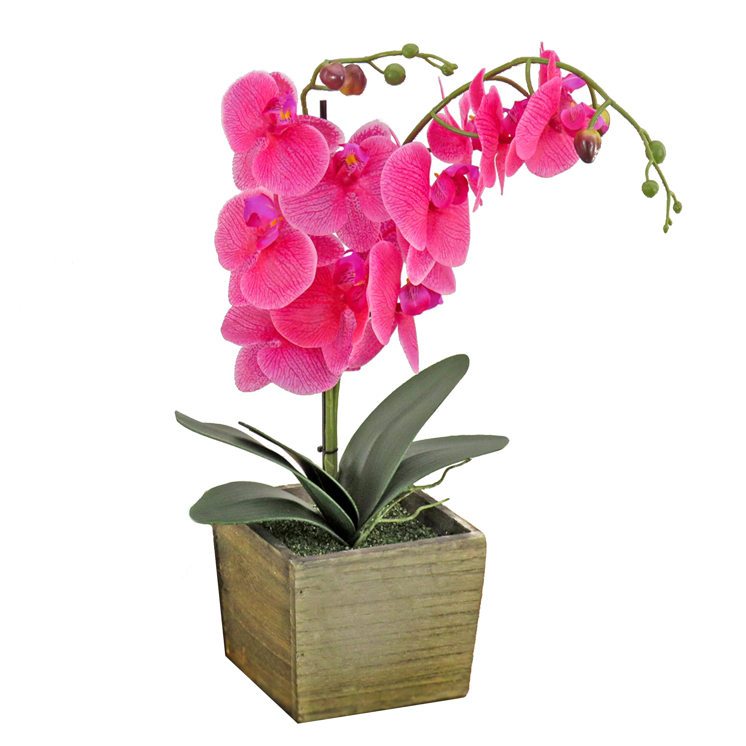National Tree Company MT81-PH0354PPR 21-in H Spring Free Standing Decoration Decorative Box