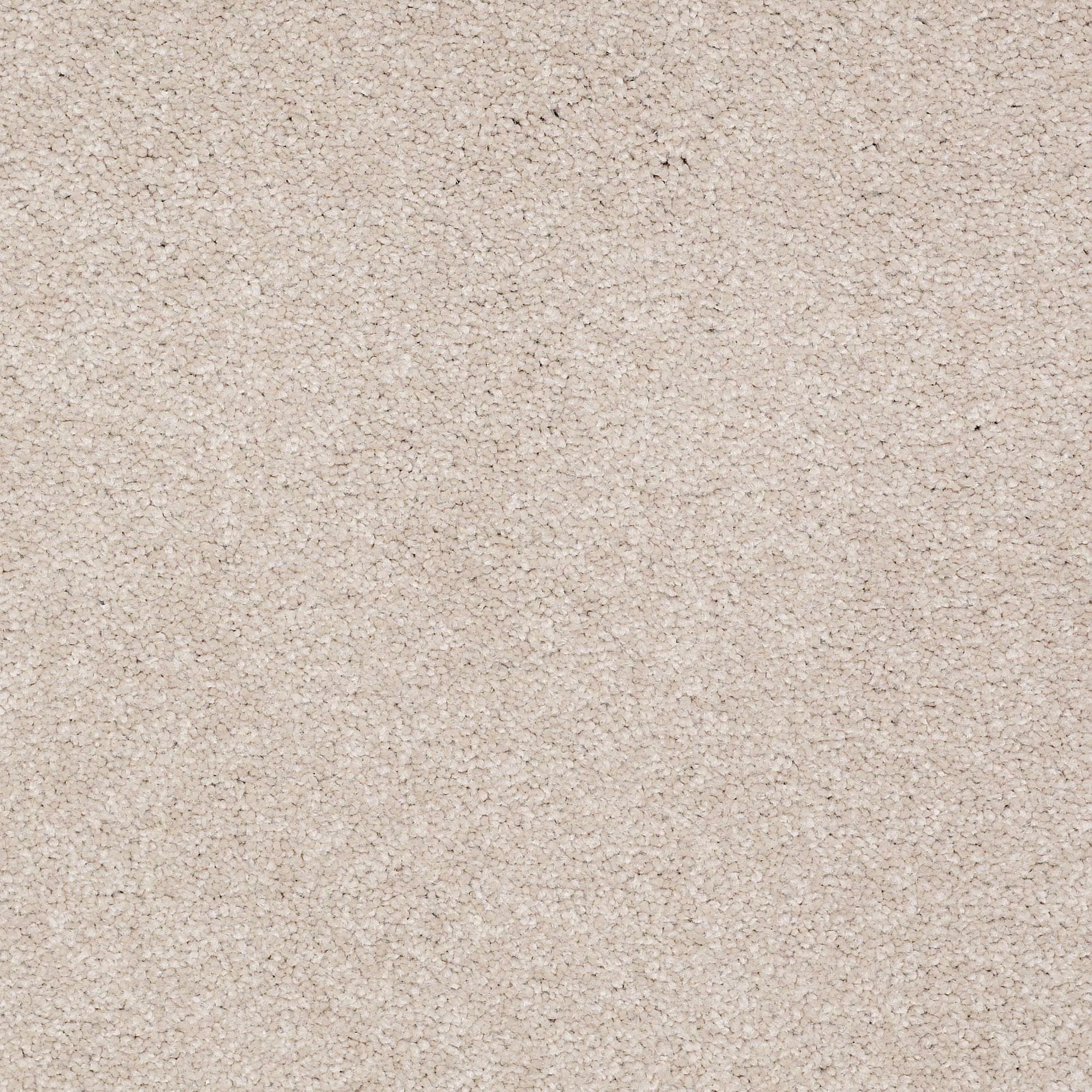 STAINMASTER PetProtect 7L88100104 Best Of Breed I Warm Winter Brown 48.8-oz sq yard Nylon Textured Indoor Carpet