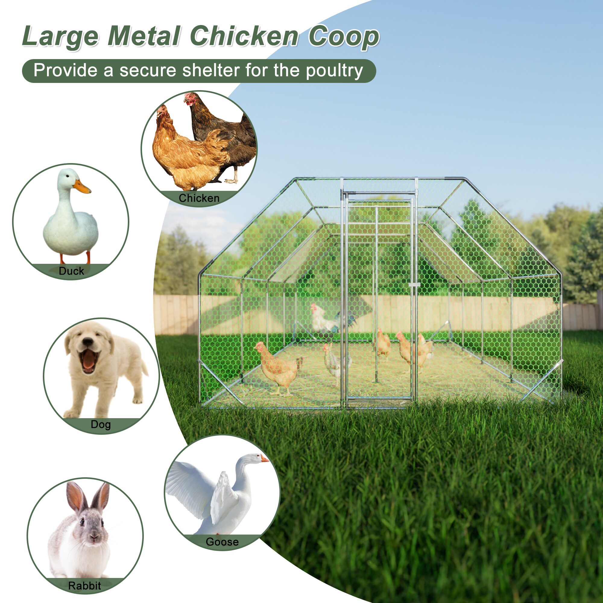 Kahomvis CX-QPW12-0020 Chicken-Coops-Rabbit-Hutches - View #9