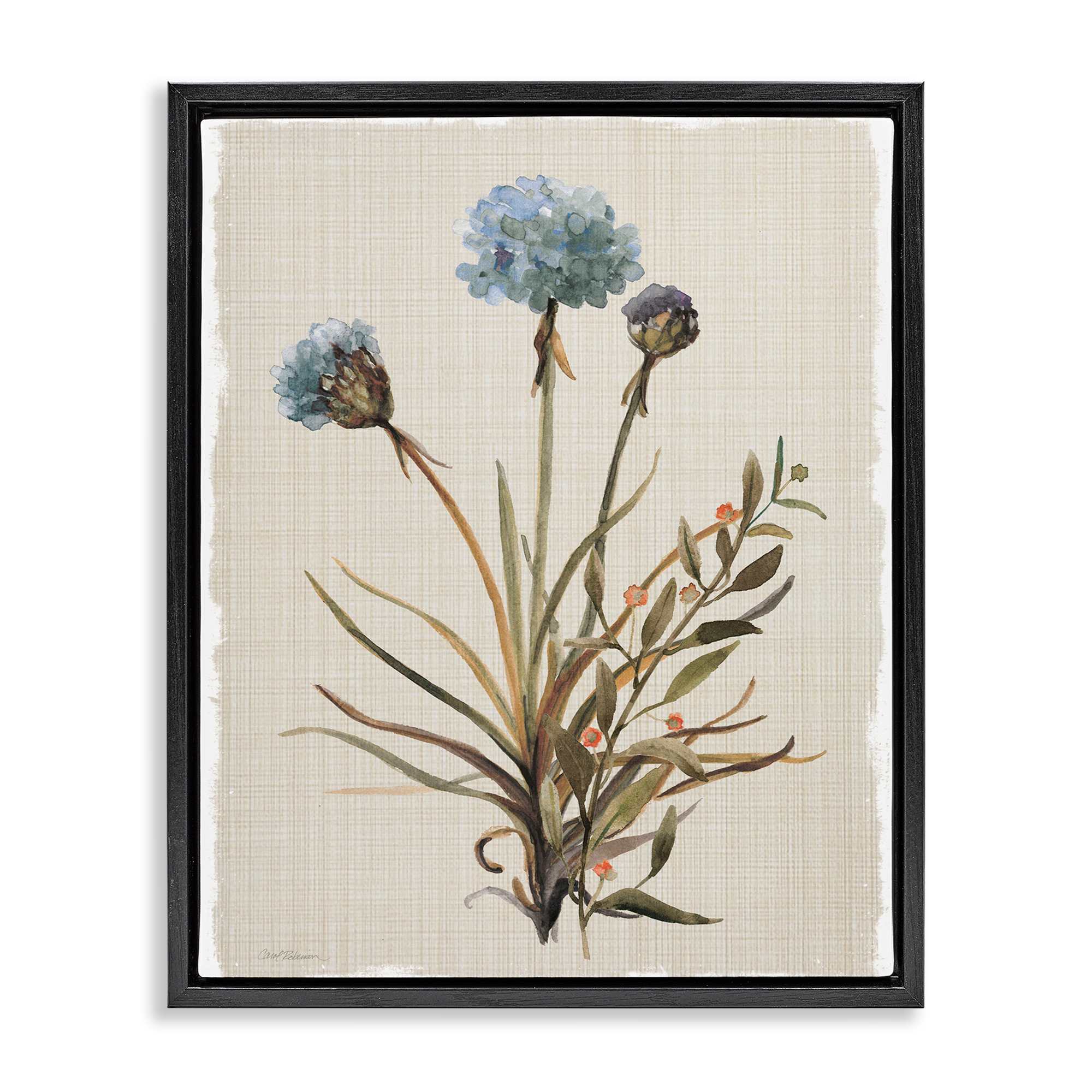Stupell Industries BS-221-FFB-16X20 Natural Hydrangea Buds Black Framed Floater Canvas Wall Art By Carol Robinson 17 x 21